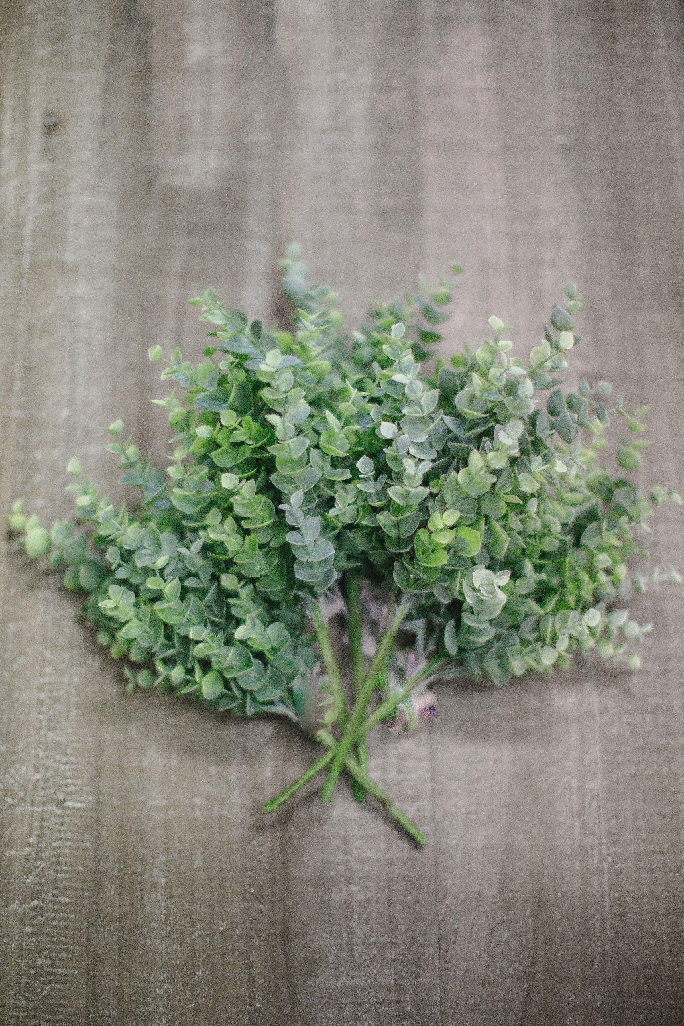 green eucalyptus.jpg