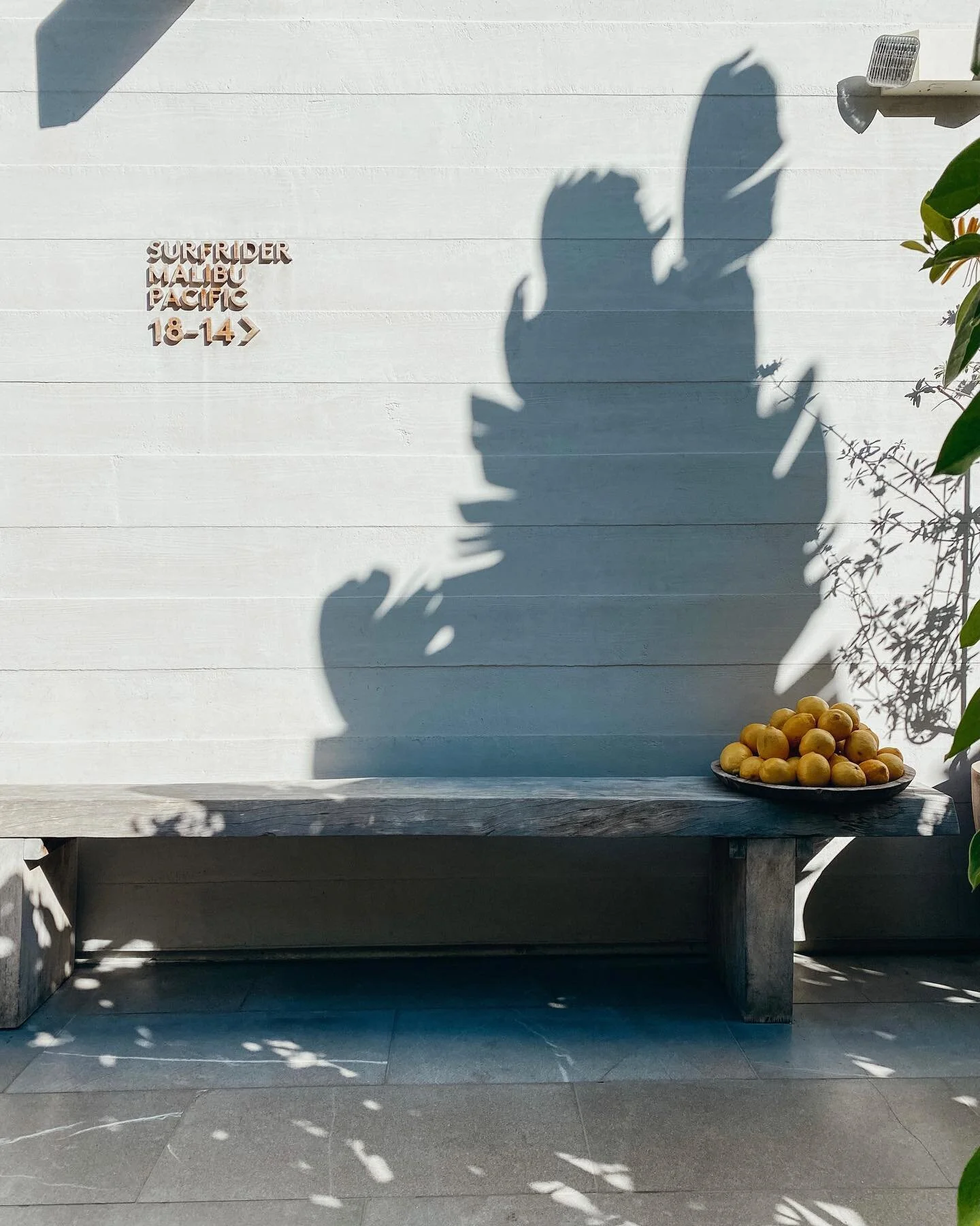 Will I ever stop sharing photos from Malibu? Probably not. 🍋

@thesurfridermalibu is hands down the best hotel I&rsquo;ve ever experienced. Not a single detail missed. I am (not so) patiently awaiting my next stay!