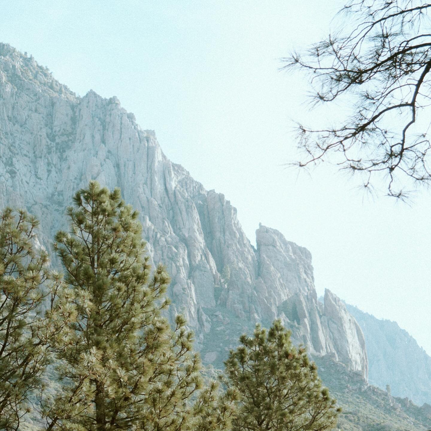 cliffs, polaroids, and campfire from the one and only OAK GROVE
.
.
.
.
.
.
.
.
.
.
.
.
#zionelopementphotographer #zionelopement 
#artofvisuals #wanderlust #bevisuallyinspired #natureaddict
#beautifuldestinations #wonderoutdoors #lonelyplanet #earth