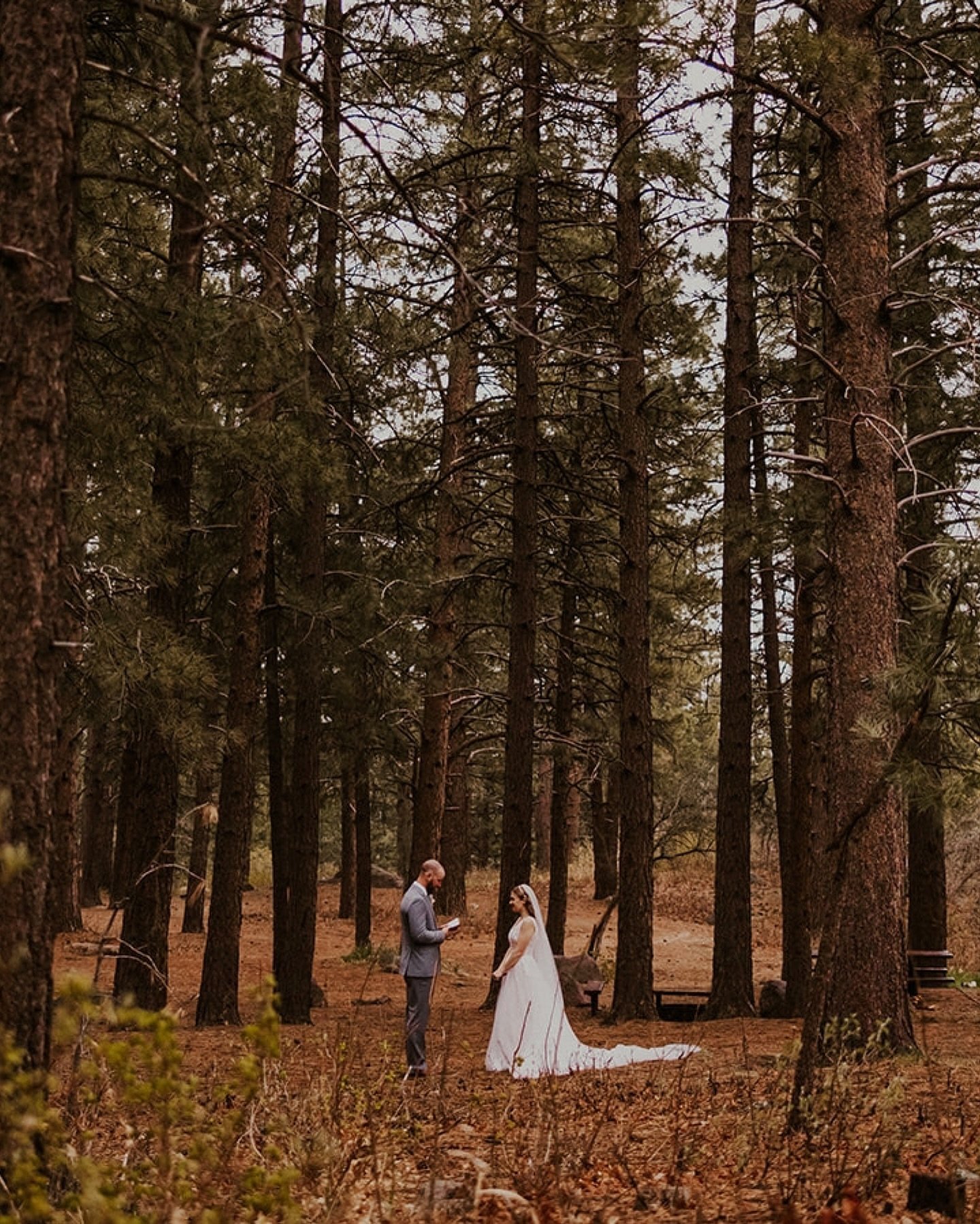 this entire wedding was only 1 day! can you believe it?! the desert is so diverse that we visited multiple locations all so different from each other, which made the gallery just incredible! the first picture is literally not even that far from zion,