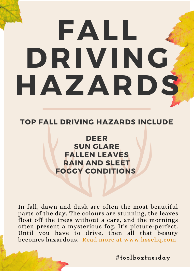#ToolboxTuesday - Fall Driving Hazards — HSSE HQ