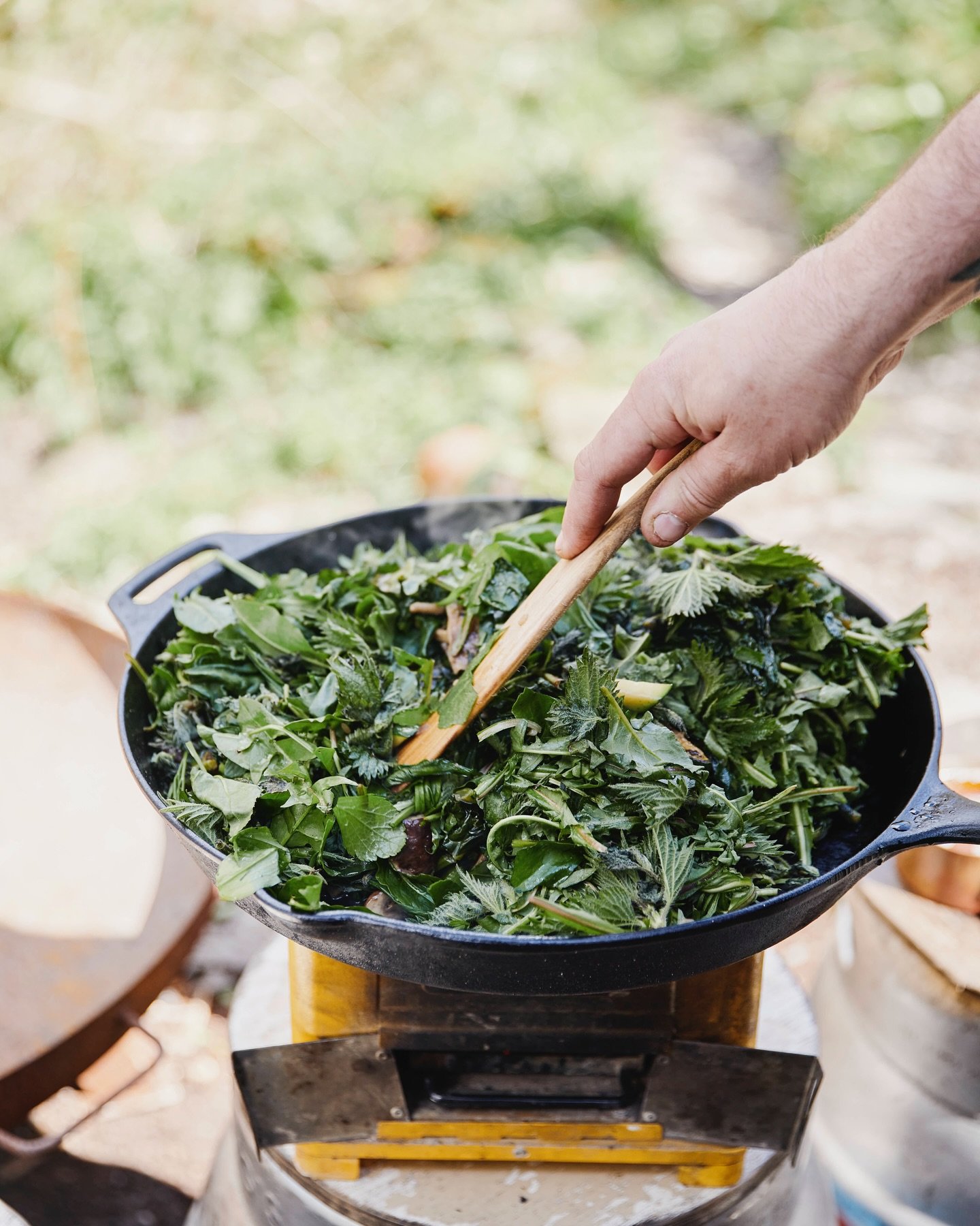 A few shots from a lovely day spent at @7thrise on a wild food and foraging day. So nice to connect a little more with what&rsquo;s directly around us, and be able to identify so much that I would usually pass while out walking without a clue whats w