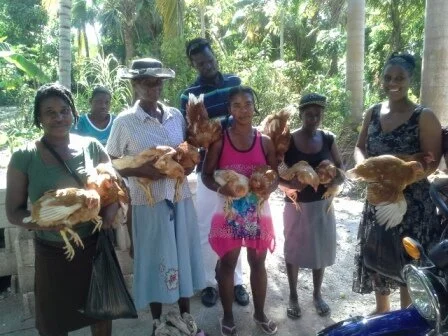 Leader Spotlight: Jean Raymond Delinois, Directeur Général de L'ACAPE&nbsp;