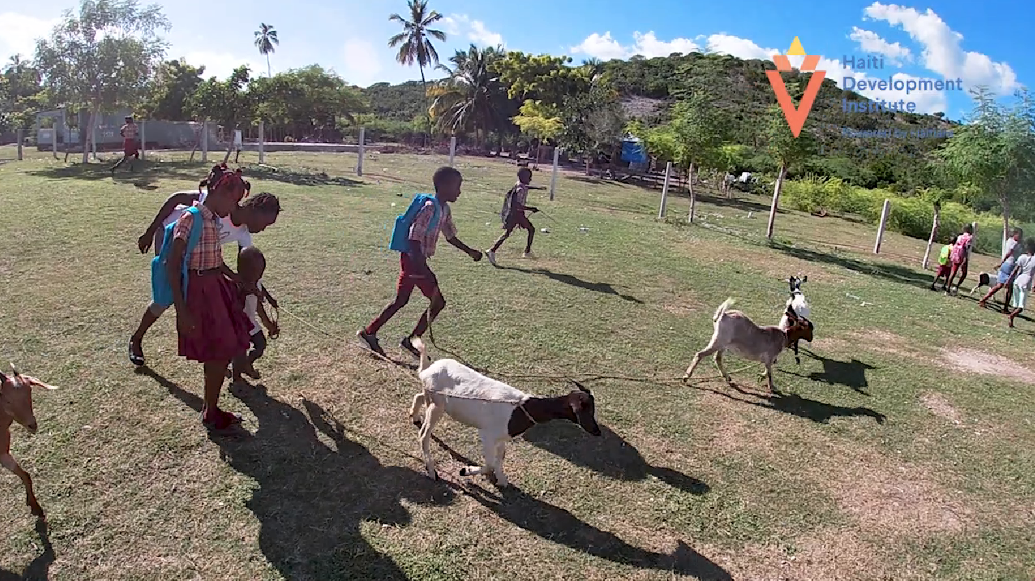 Focus sur une subvention : Renforcer la résilience après le séisme      
