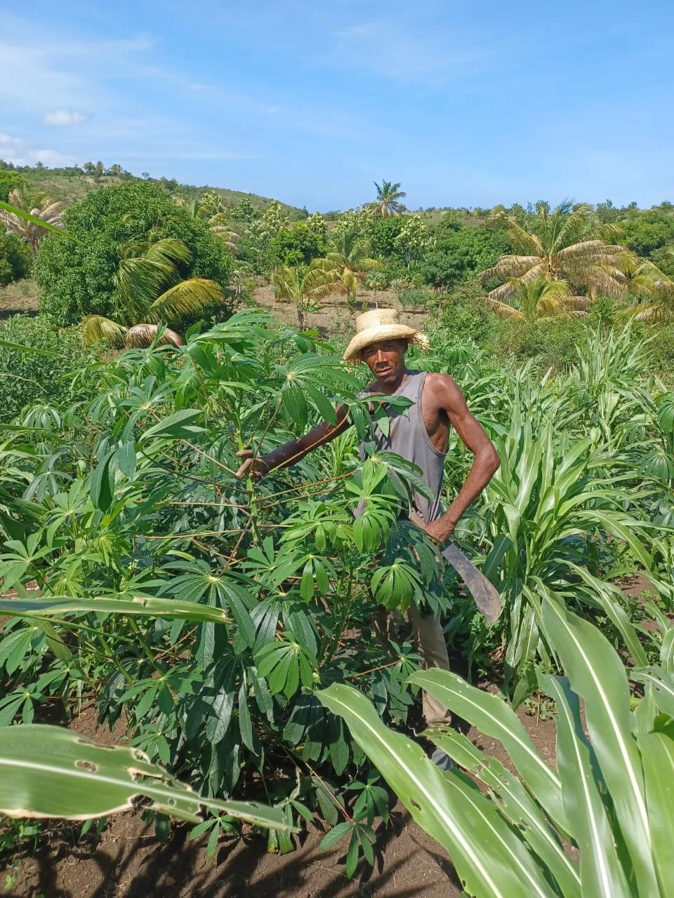 WhatsApp Image 2023-08-31 at 7.50.42 AM.jpeg