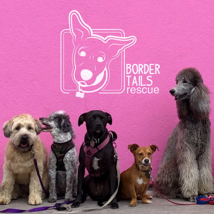 FAQ — Border Tails Rescue