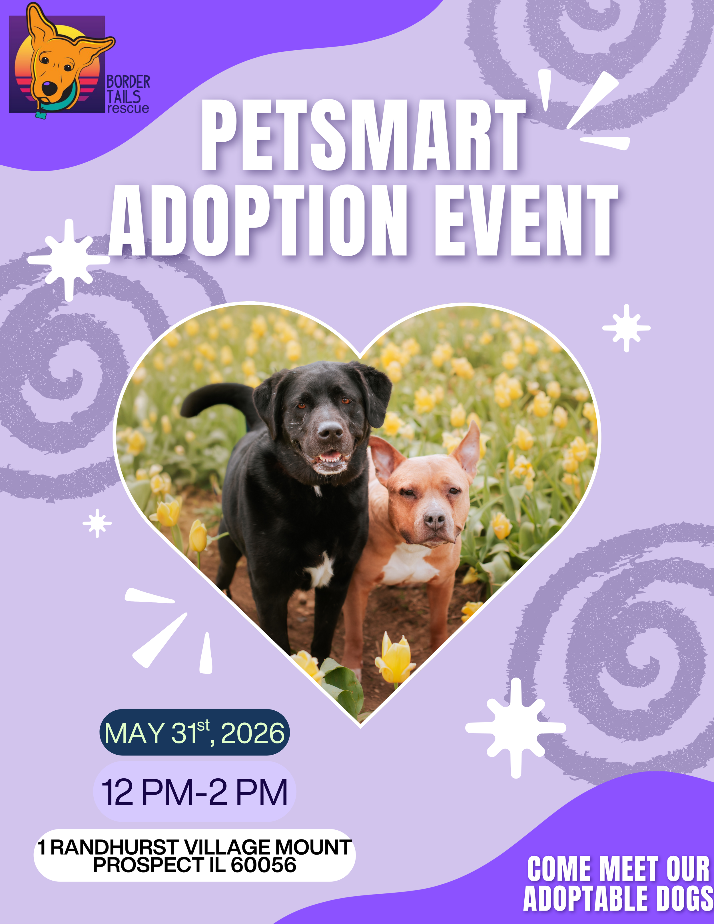 Petsmart Foster to Furever event