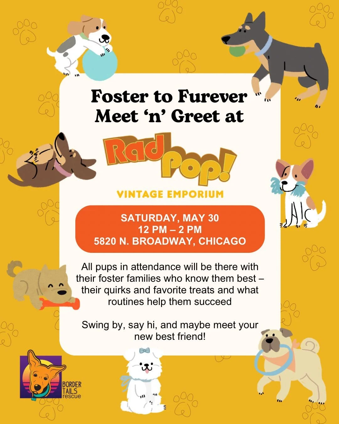 Foster to Furever Meet 'N Greet @ RadPop! Vintage Emporium