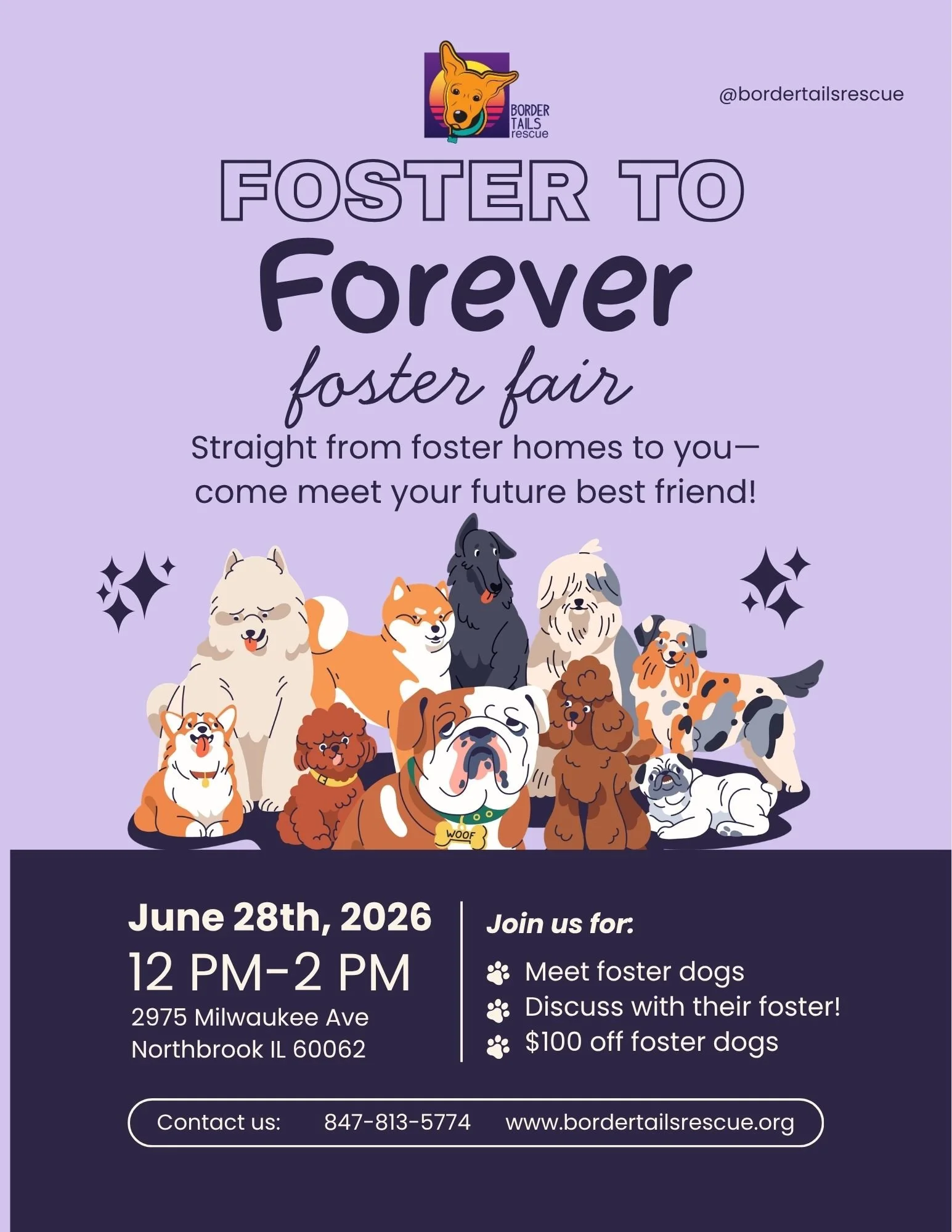 6/28 - Foster Fair at Border Tails Rescue  🐾