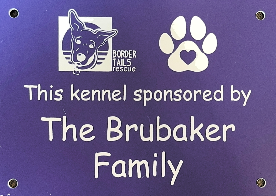 1 Year Kennel Sponsorship (Small Kennels)