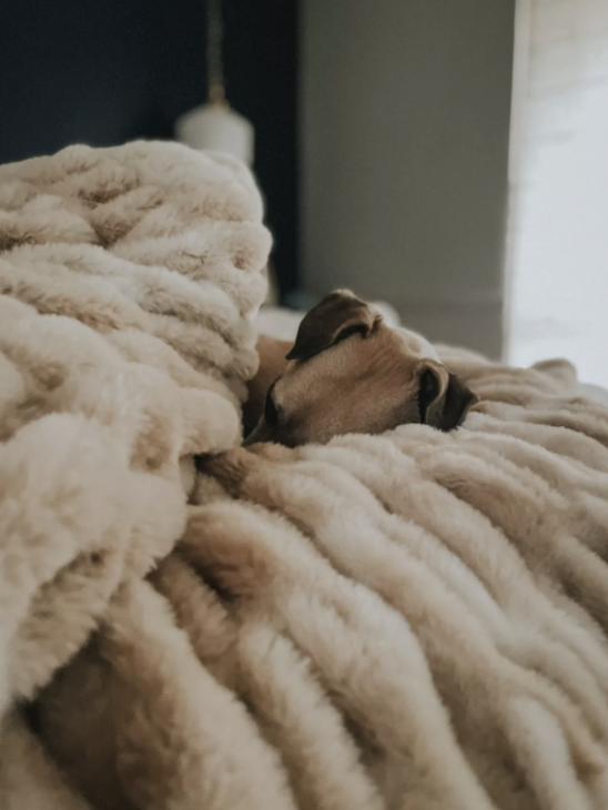 Screenshot 2026-04-20 at 12.38.09 PM.png