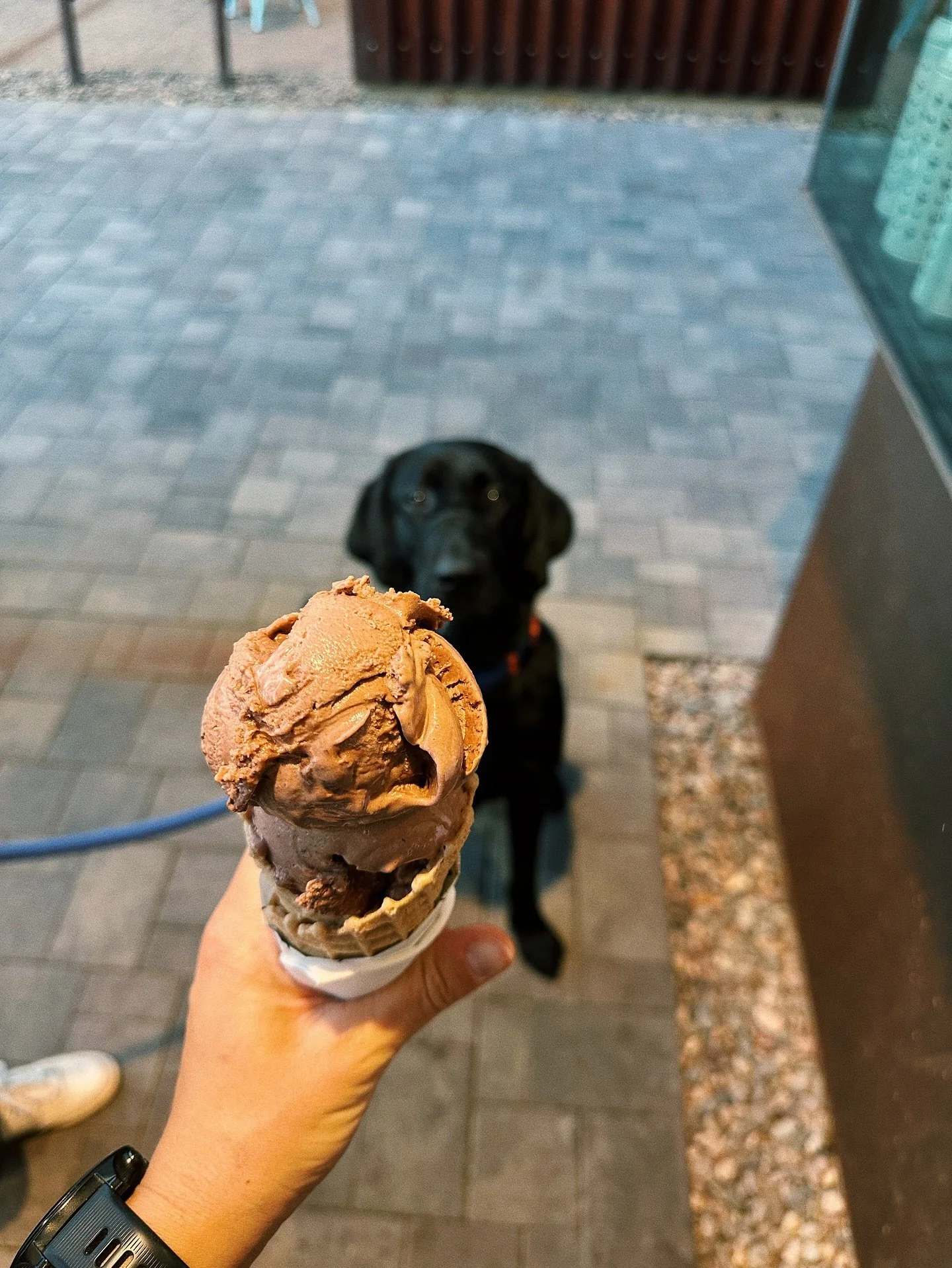Best ice cream I&rsquo;ve had in town 🍦 Lou agrees.