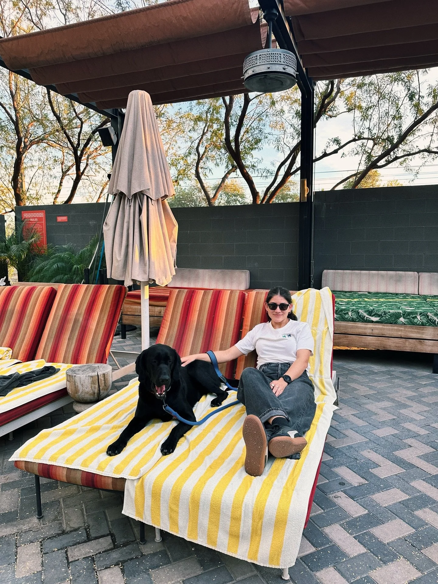 Cool pools in Phoenix 🩵