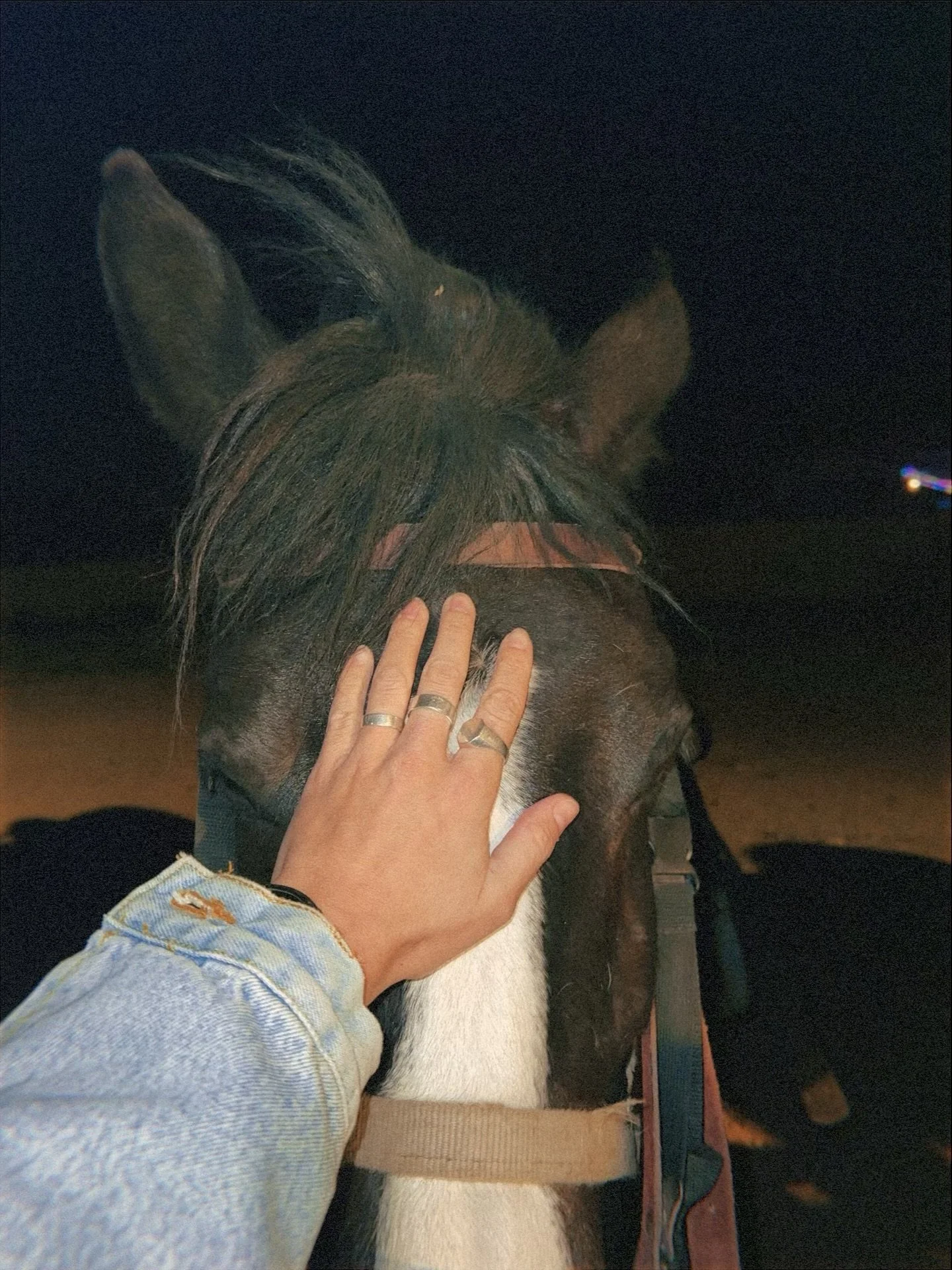 Year of the Horse &mdash; I&rsquo;m ready 🐴

Here are some of the horses I&rsquo;ve met over the years, but most recently Ruby and Michelle at @southponderosastables in Phoenix.

They offer all kinds of rides, including my favorite: a sunset trail r