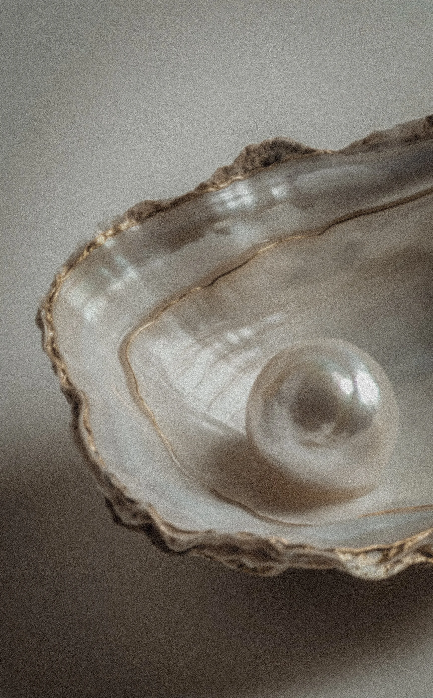 Gilded oyster shell holding a pearl, representing the value of patience, nourishment, and whole-body support in getting pregnant naturally after 35