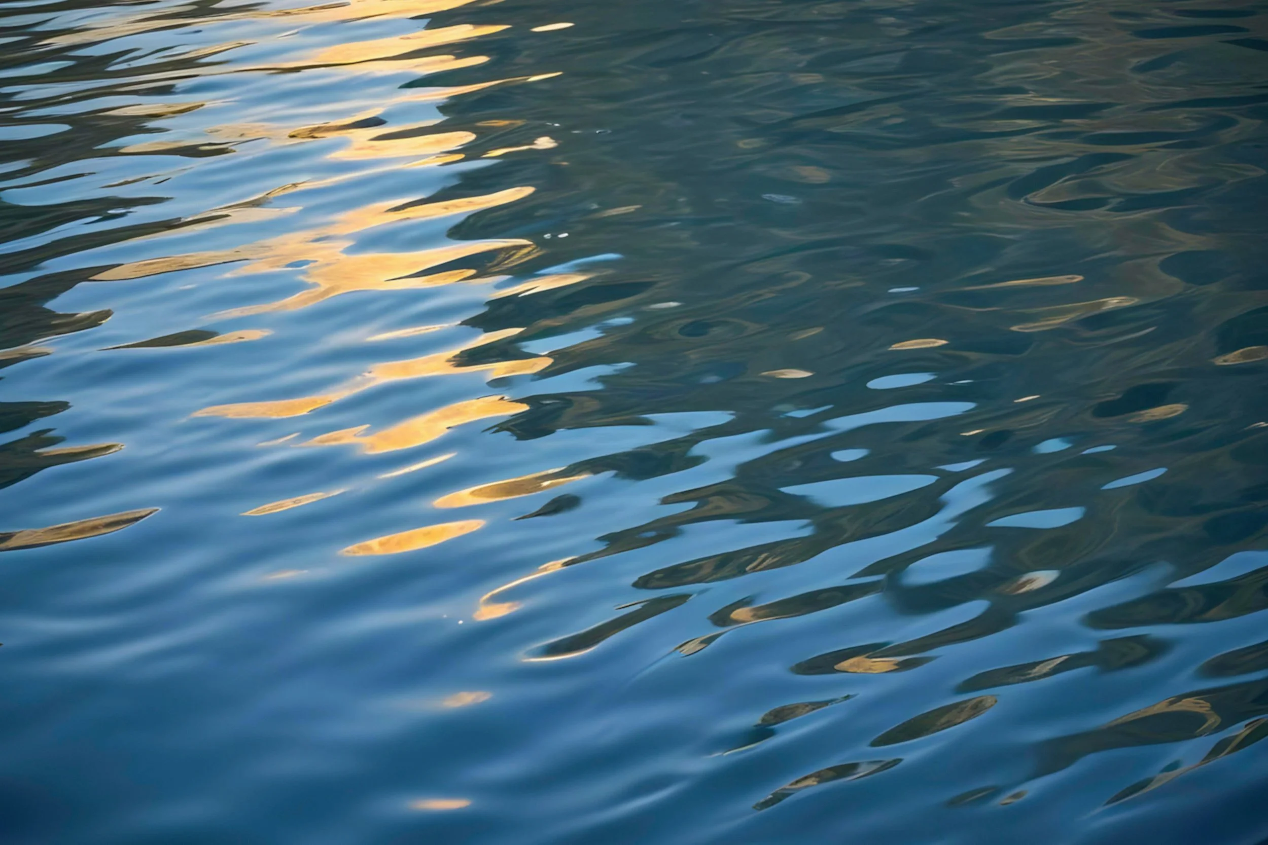 Calm water with golden light reflections representing nervous system regulation and fertility support in Encinitas and San Diego