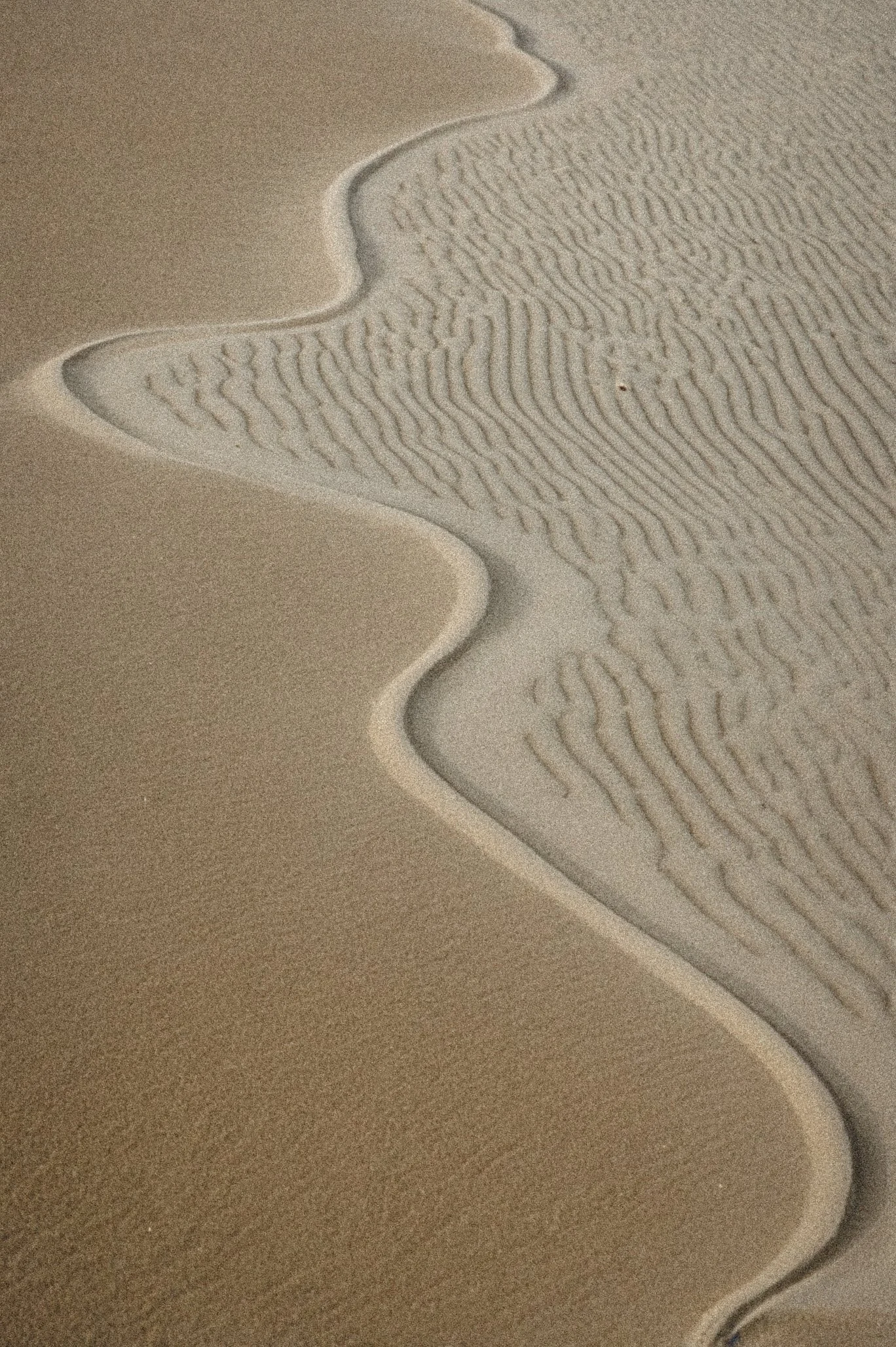 Smooth, winding lines in wet sand representing subtle physiological shifts and stress patterns that affect fertility after 35 even when tests are normal