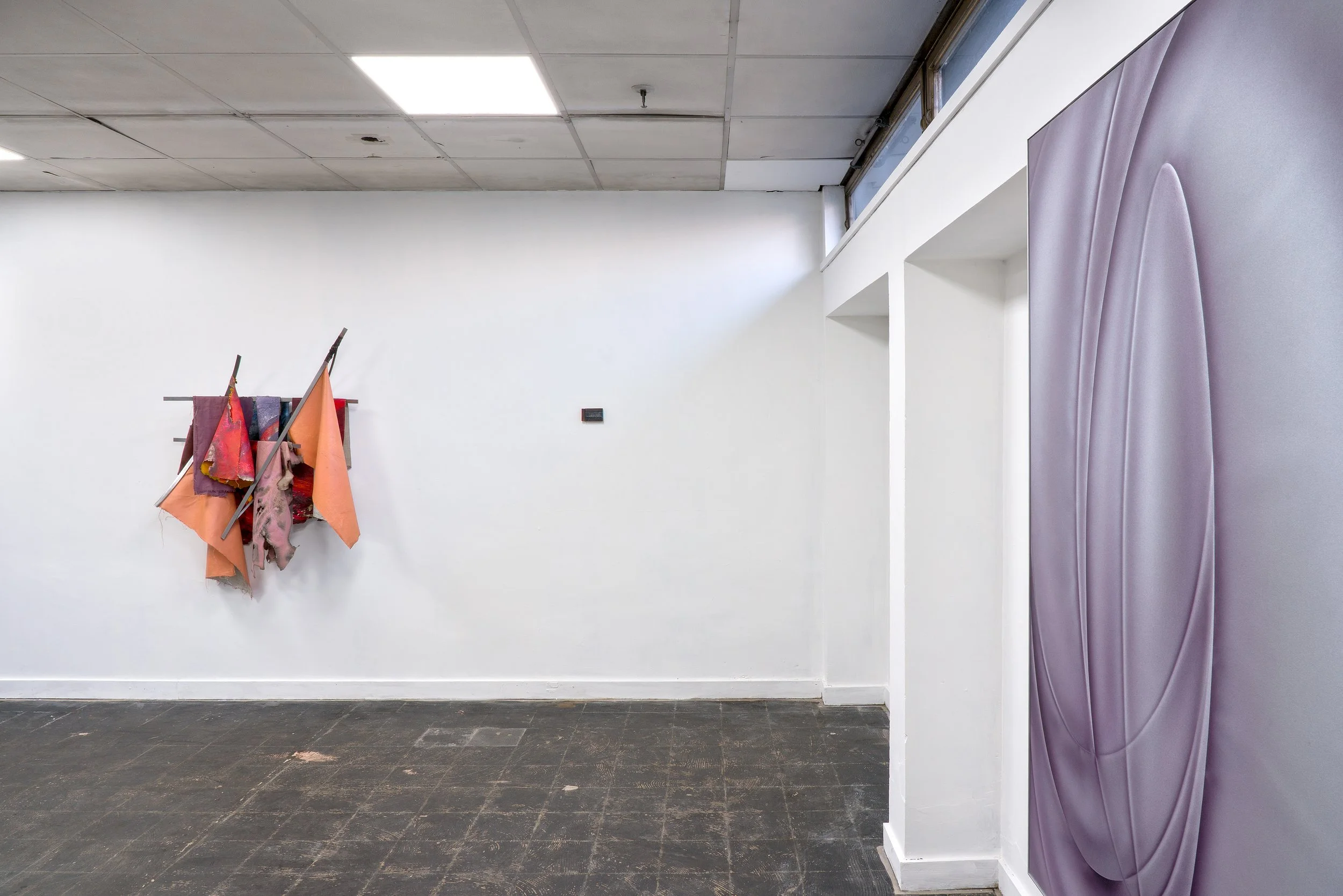 Ultrasound, Public Gallery, 2026 - First floor 10.jpg