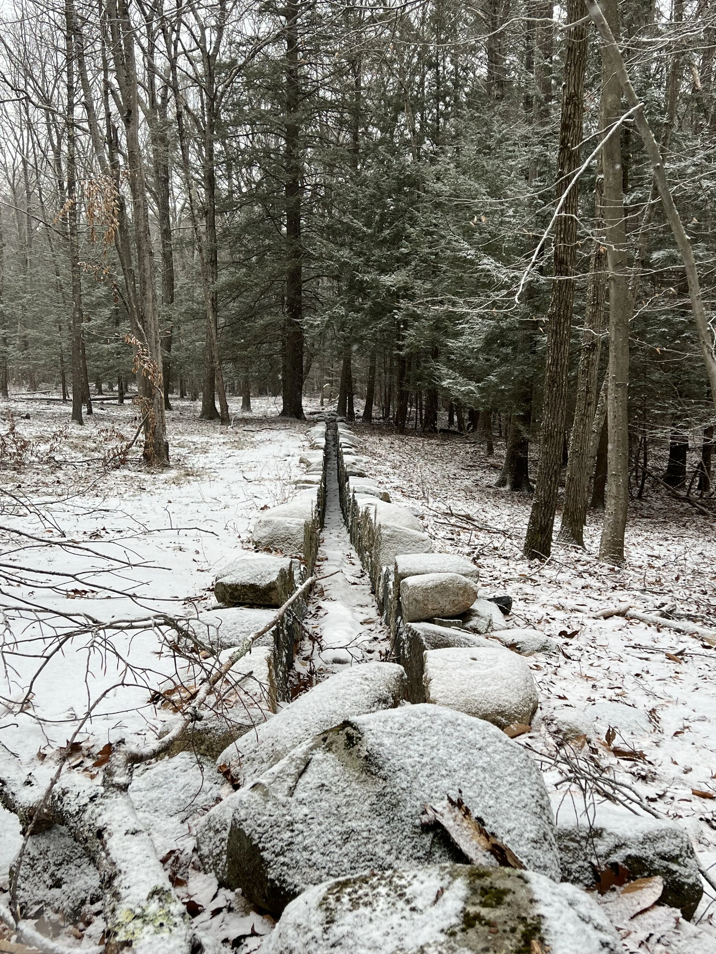 Andygoldsworthyalnoba.jpeg