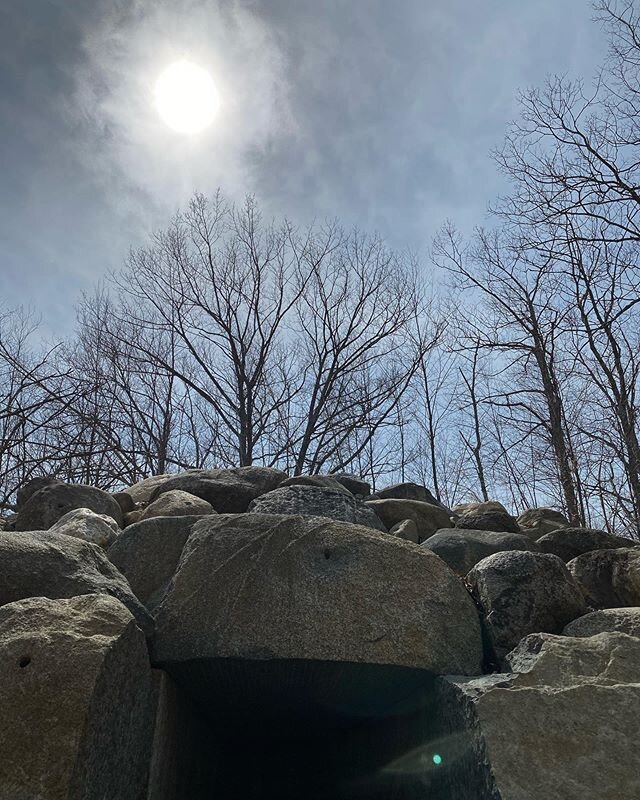 &ldquo;nature itself is the best physician&rdquo; #hippocrates #andygoldsworthy #grounding