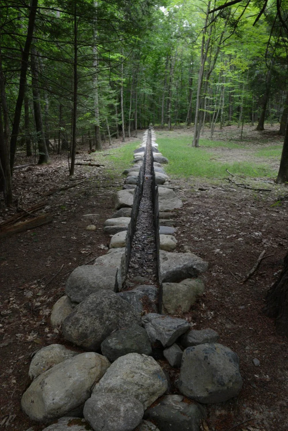 Andy Goldsworthy .jpg