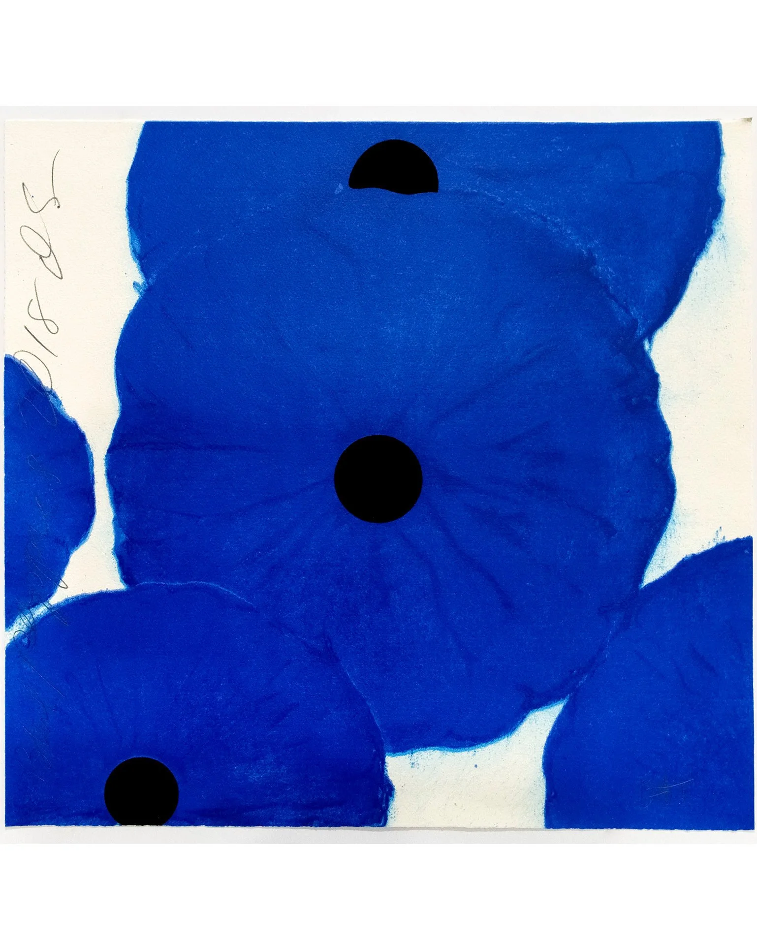 Blue-Poppies-2018-vert.jpg