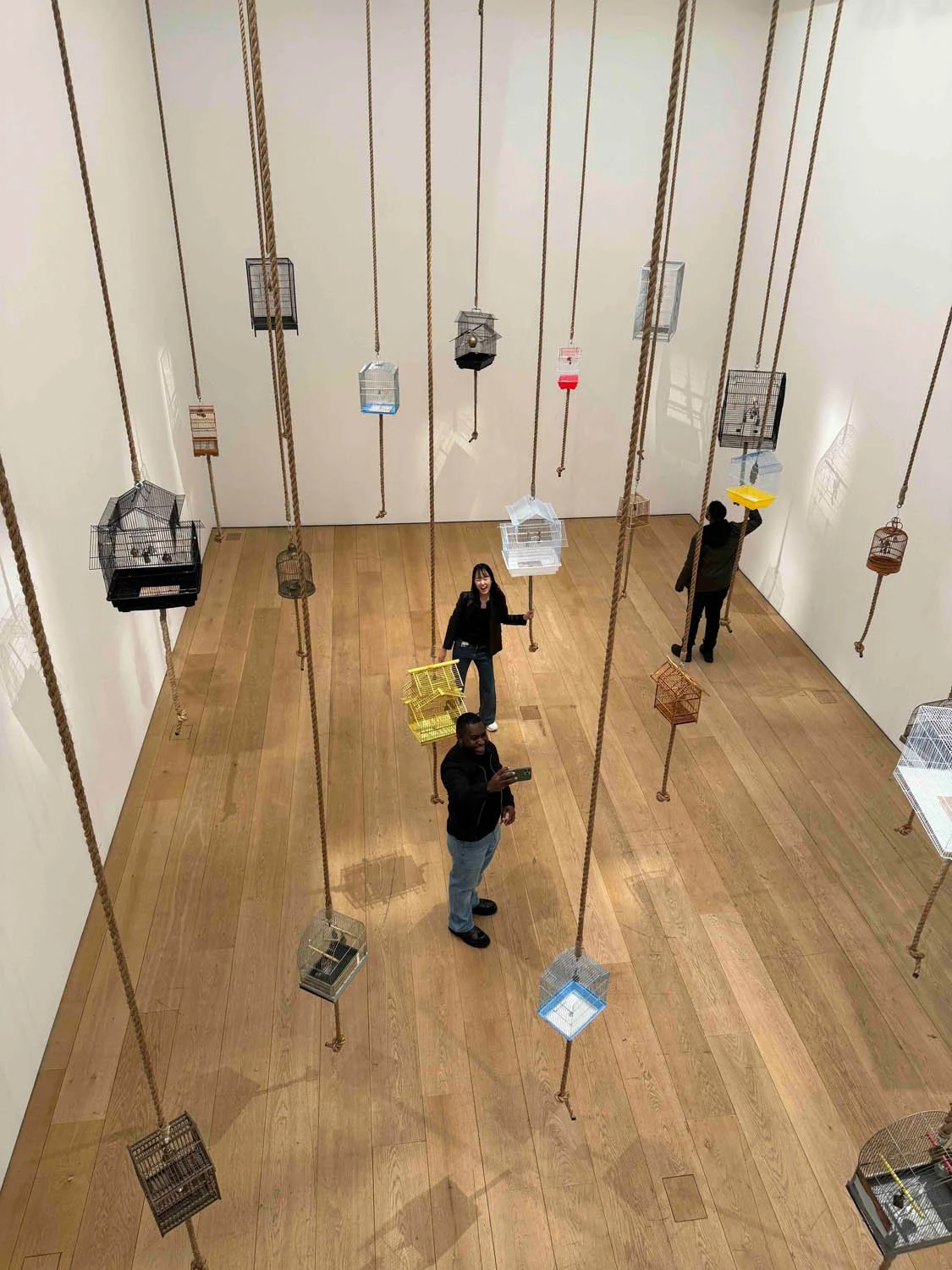 nycgallery.jpg