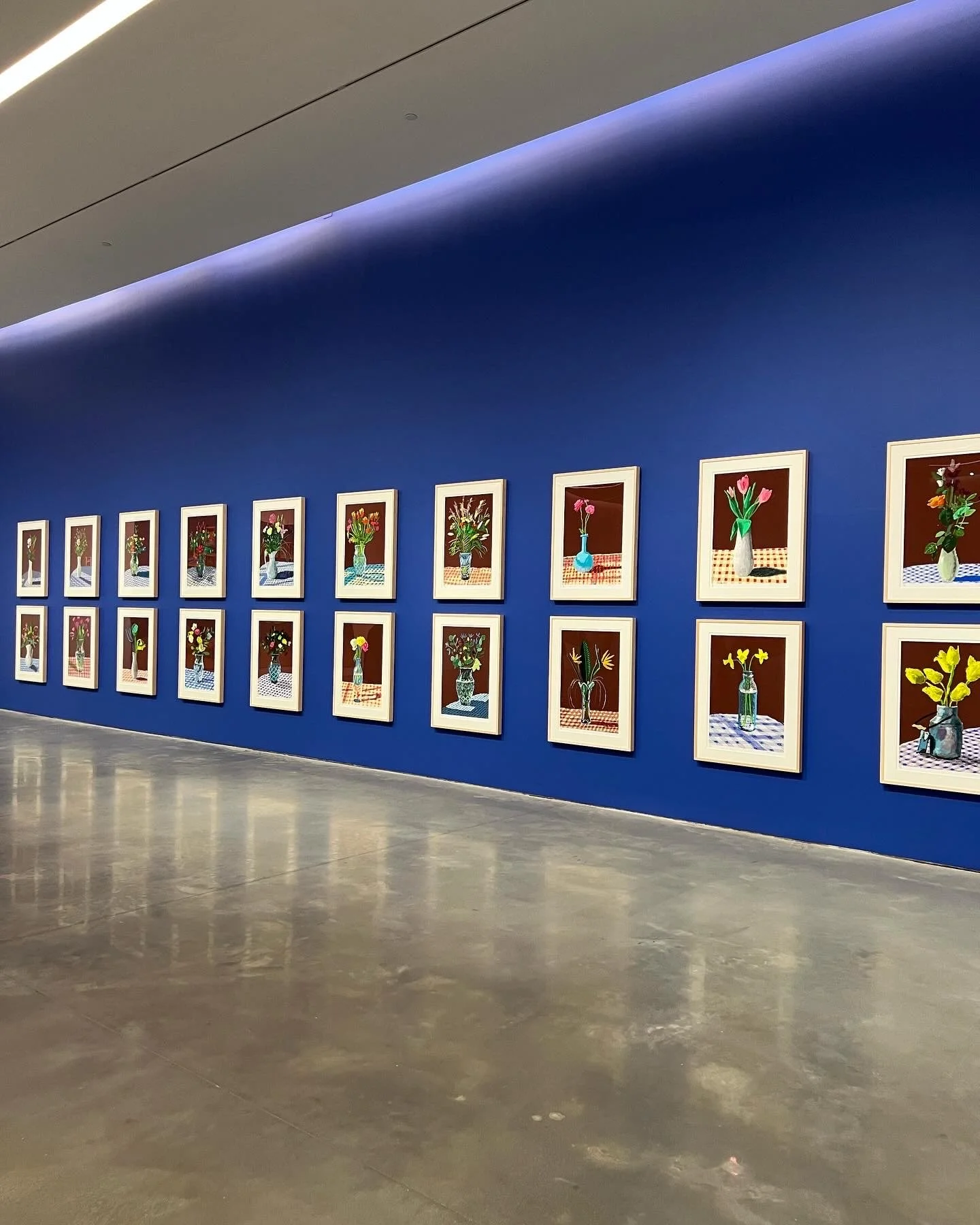 DavidHockney.jpg