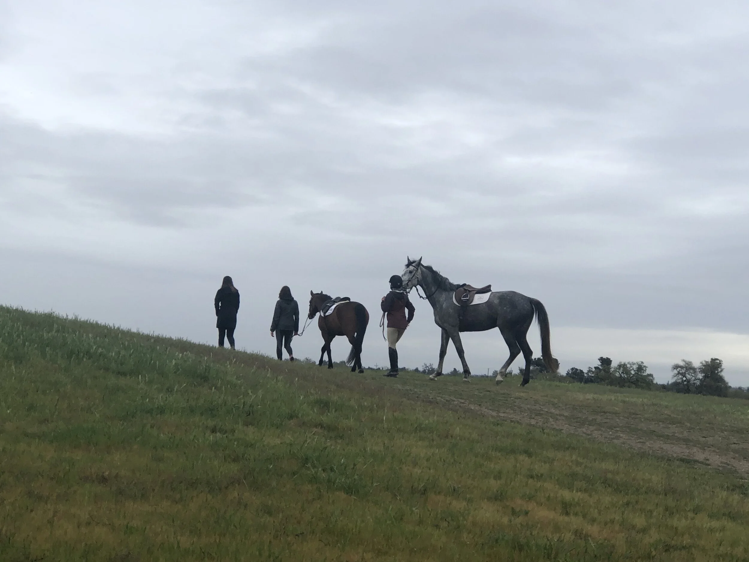 Riders leading their horses on foot up a grass hill