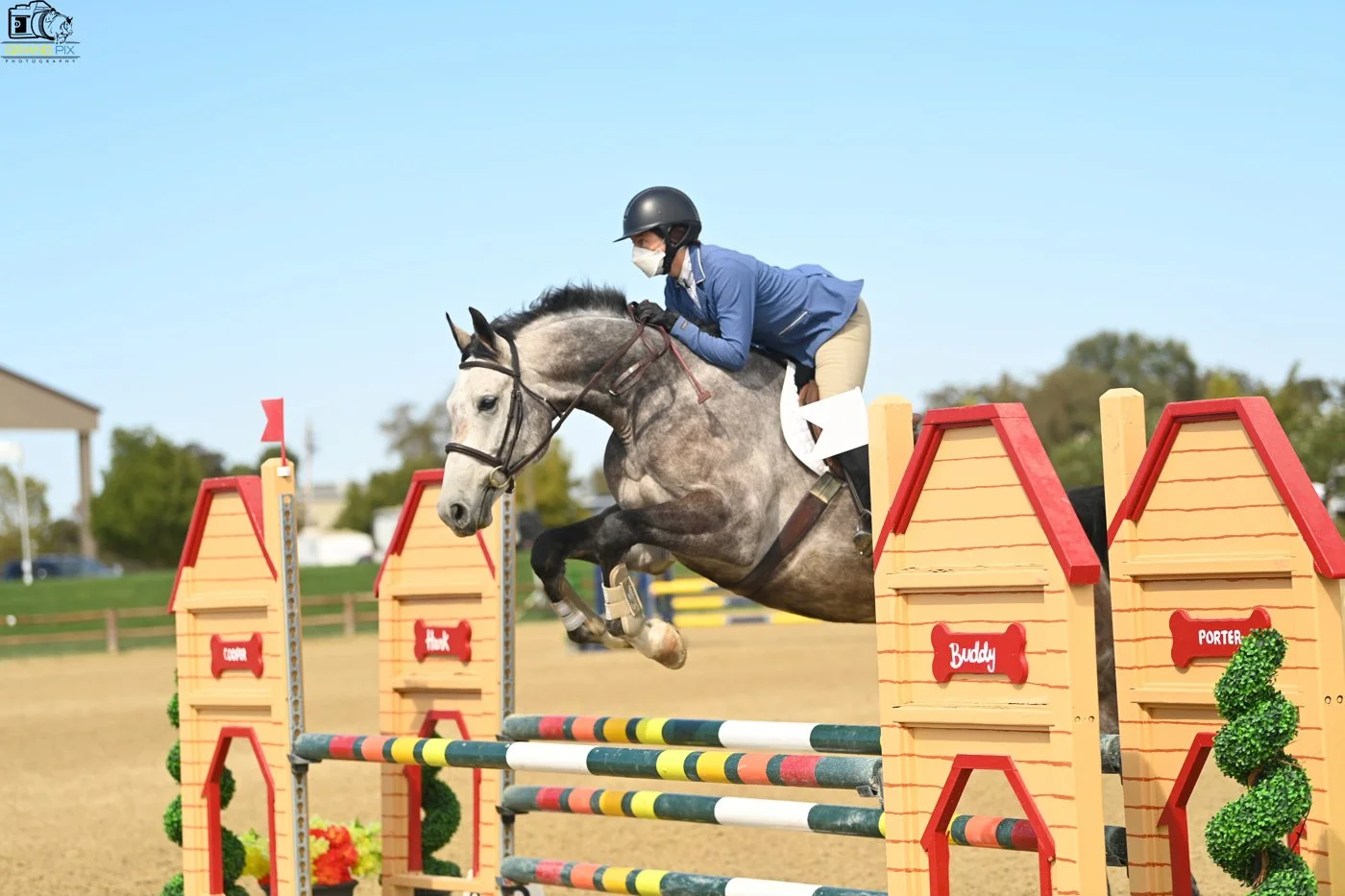 Gray horse and rider in a blue jacket jumping over a yellow and red dog house themed jump