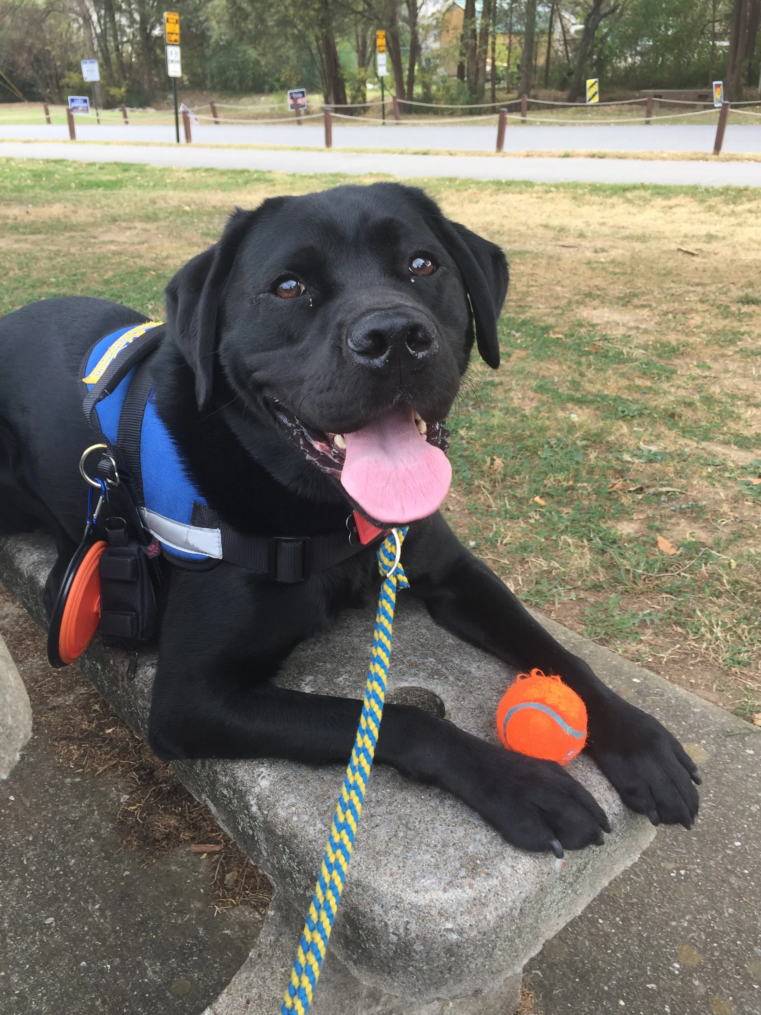 Kolton enjoying some playtime. Photo credit: Anjali Forber-Pratt