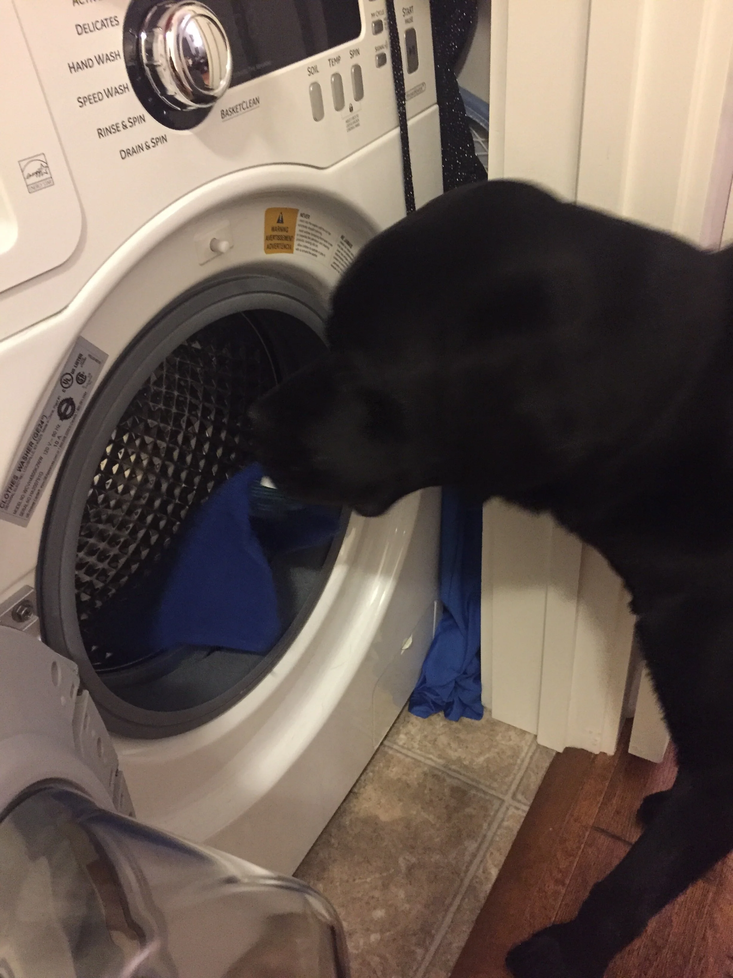 Kolton helps out with the laundry. Photo credit: Anjali Forber-Pratt