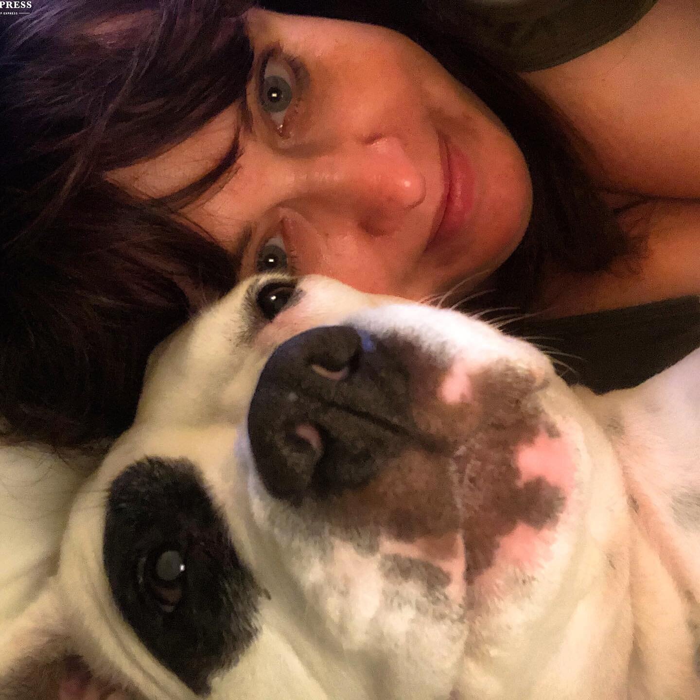 Happy #nationalpetday to all the awesome dog owners I know and their amazing pups. I know how much your dogs love and appreciate you! 🐶❤️ Who are some great dog &amp; dog parents you want to celebrate today?  1) @melissaevans w/ Dotty  2) @mrsjenhyd