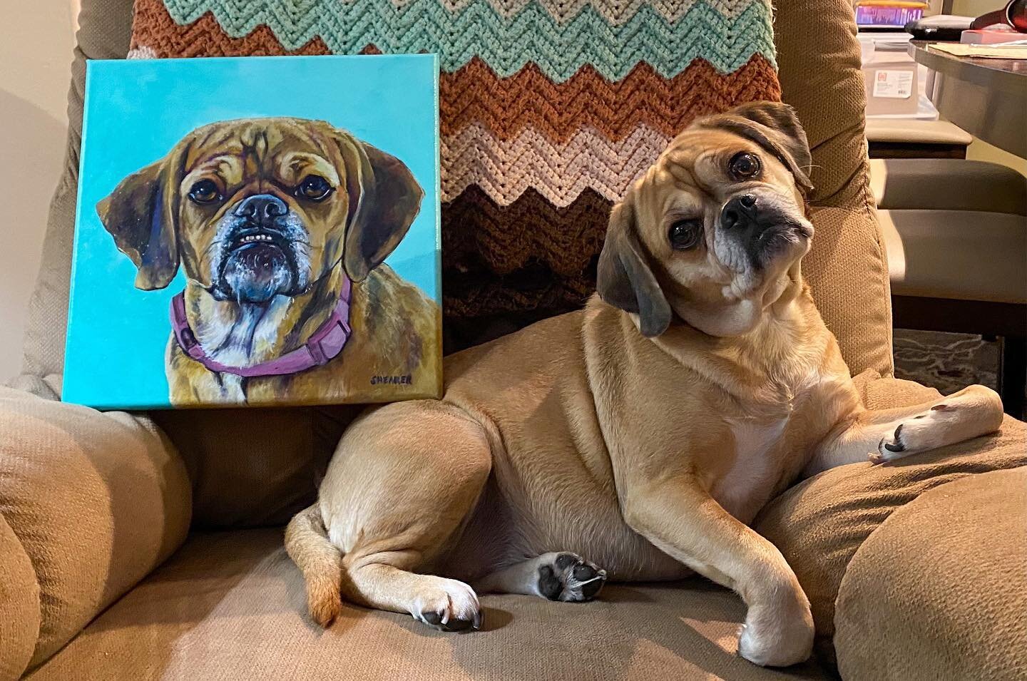 Do you want a painting or drawing of your pooch? Sarah shares her process of producing the perfect picture@ fidoinsido.com (link in profile). Do you have or do you want a portrait of your dog?
.
📷 credit: @paintedpawstudio 
.
Follow&nbsp;@fidoinsido