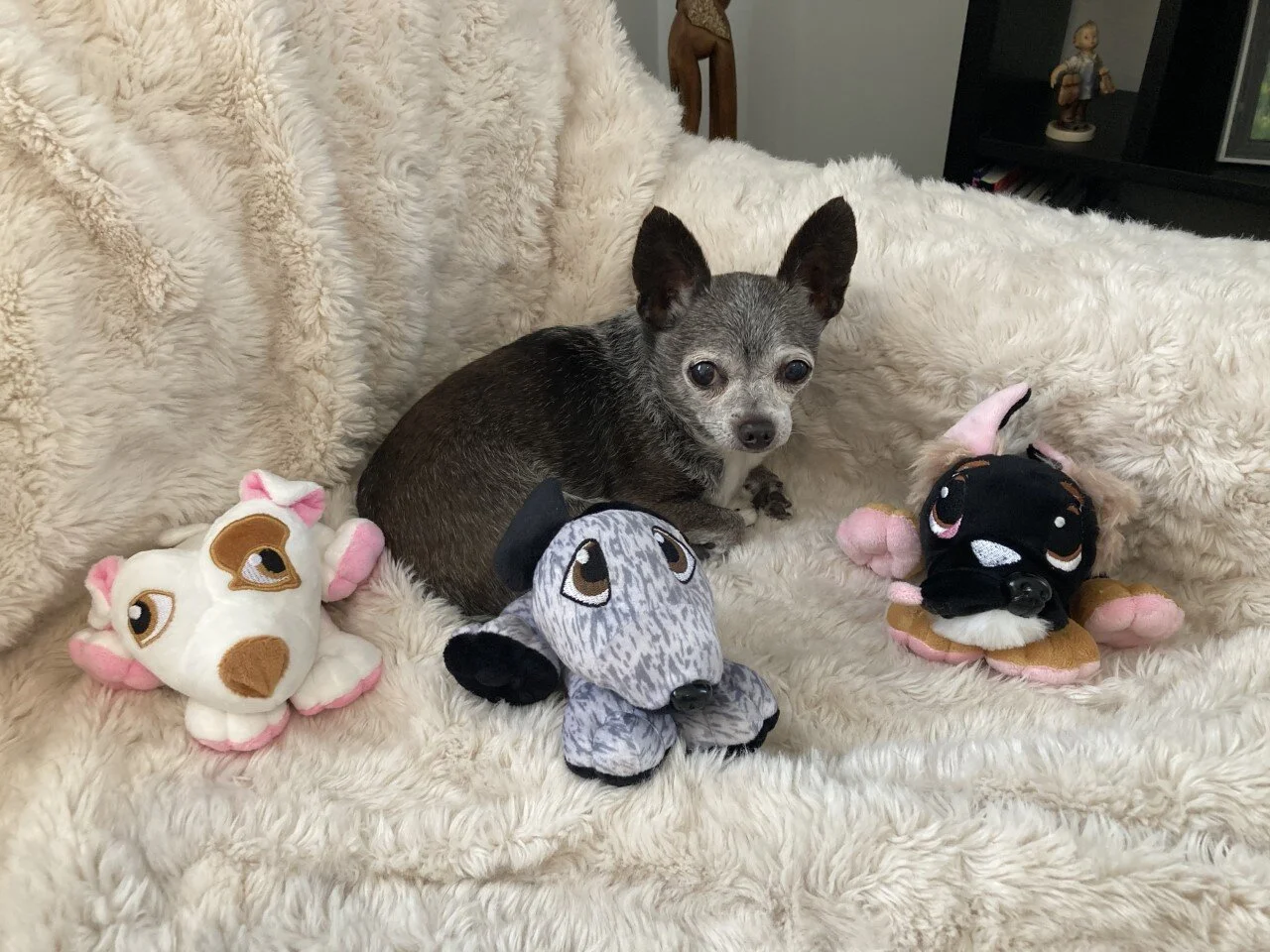 Ricky loves his Rescue Heroes plushies!