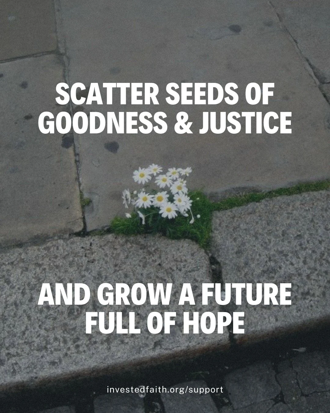 Jesus reminds us that when seeds fall on good soil, they grow and bear abundant fruit. Through our 'Seeds' monthly giving program, you can be the sower, planting seeds of hope and justice in fertile ground&mdash;supporting faith-rooted entrepreneurs 
