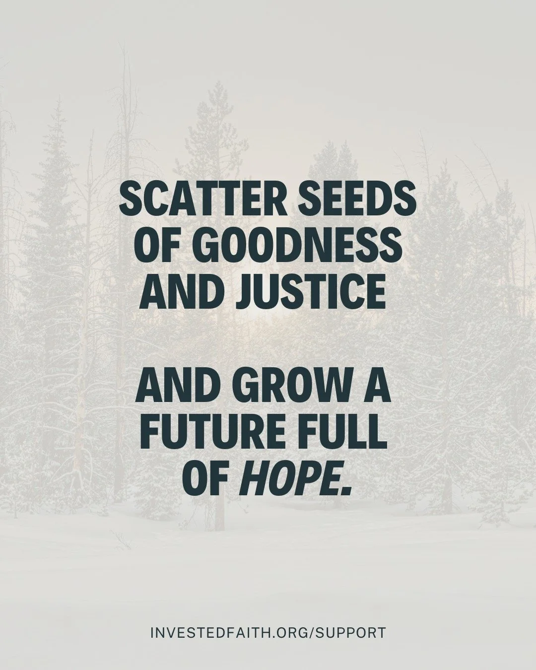 Even in fallow seasons... Jesus reminds us that when seeds fall on good soil, they grow and bear abundant fruit. 

Through our 'Seeds' monthly giving program, you can be the sower, planting seeds of hope and justice in fertile ground, supporting fait