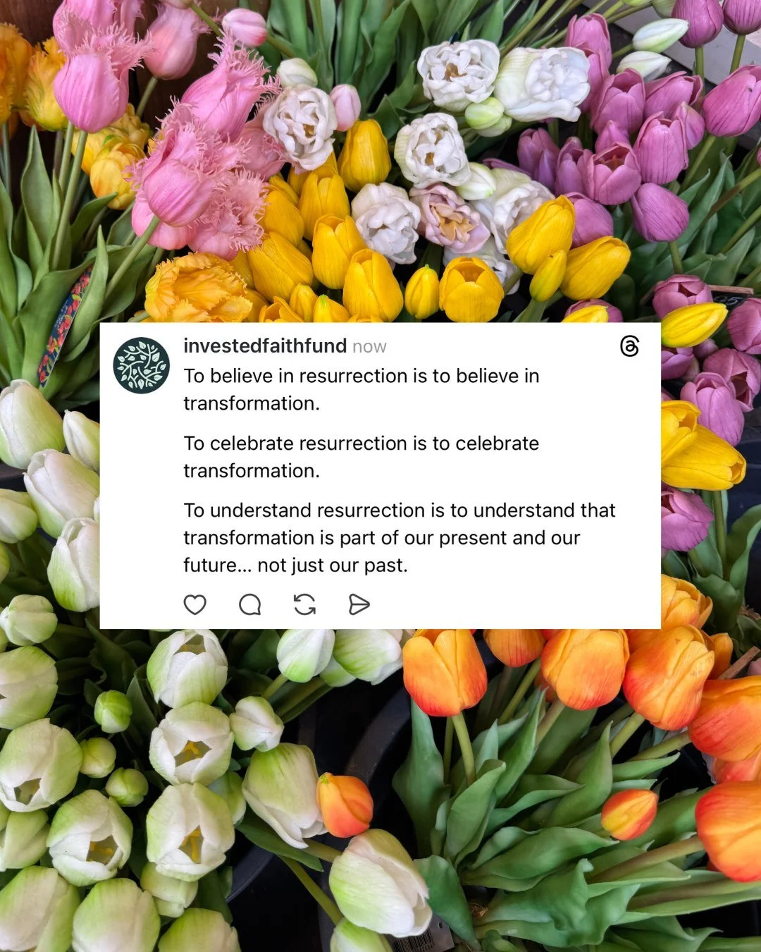 Resurrection was never about returning to the past, it&rsquo;s about stepping into what&rsquo;s next.

Easter is proof that new life is always possible. If we believe in resurrection, we must believe in transformation, here and now.

As churches clos