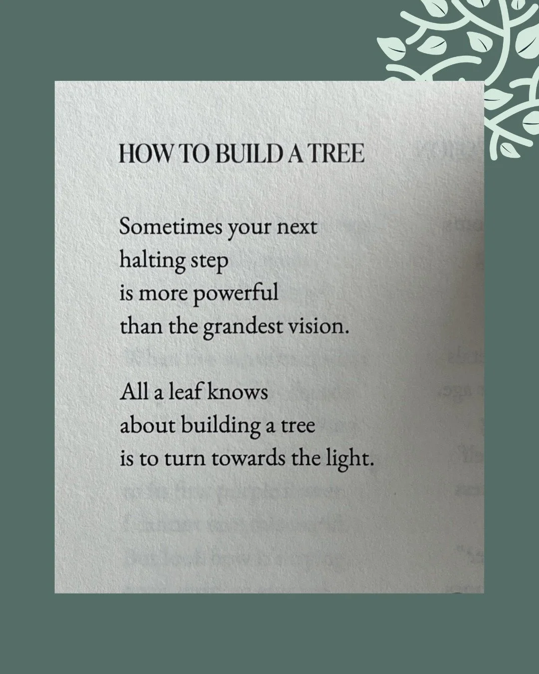 How to build a tree... 🍃

via @jamesapearson