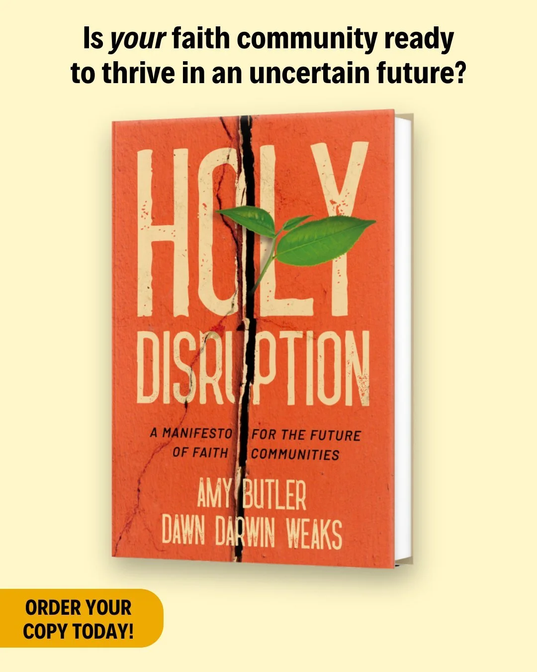 While many wonder what the future of faith looks like, others are already living it. 

In Holy Disruption, Pastor Amy Butler and Dr. Dawn Darwin Weaks bring their brilliance to light, letting the stories of faith-rooted disruptors light the torch for
