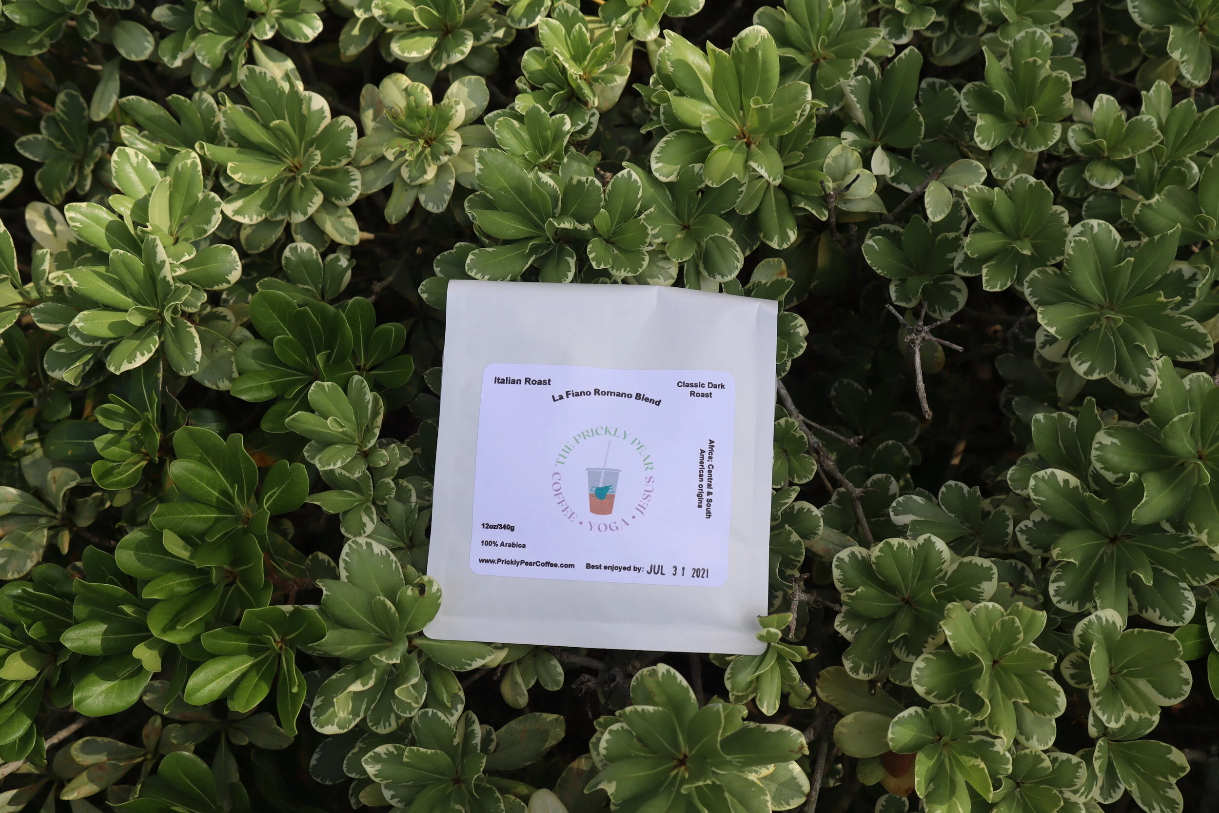 shop — prickly pear coffee co.