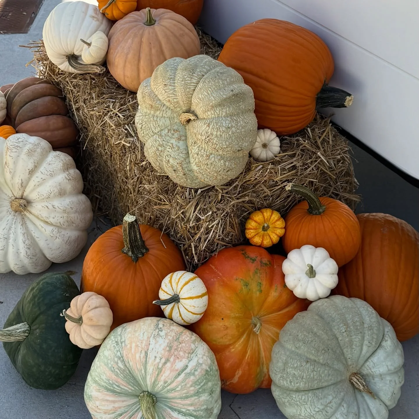 a love letter to October 💌