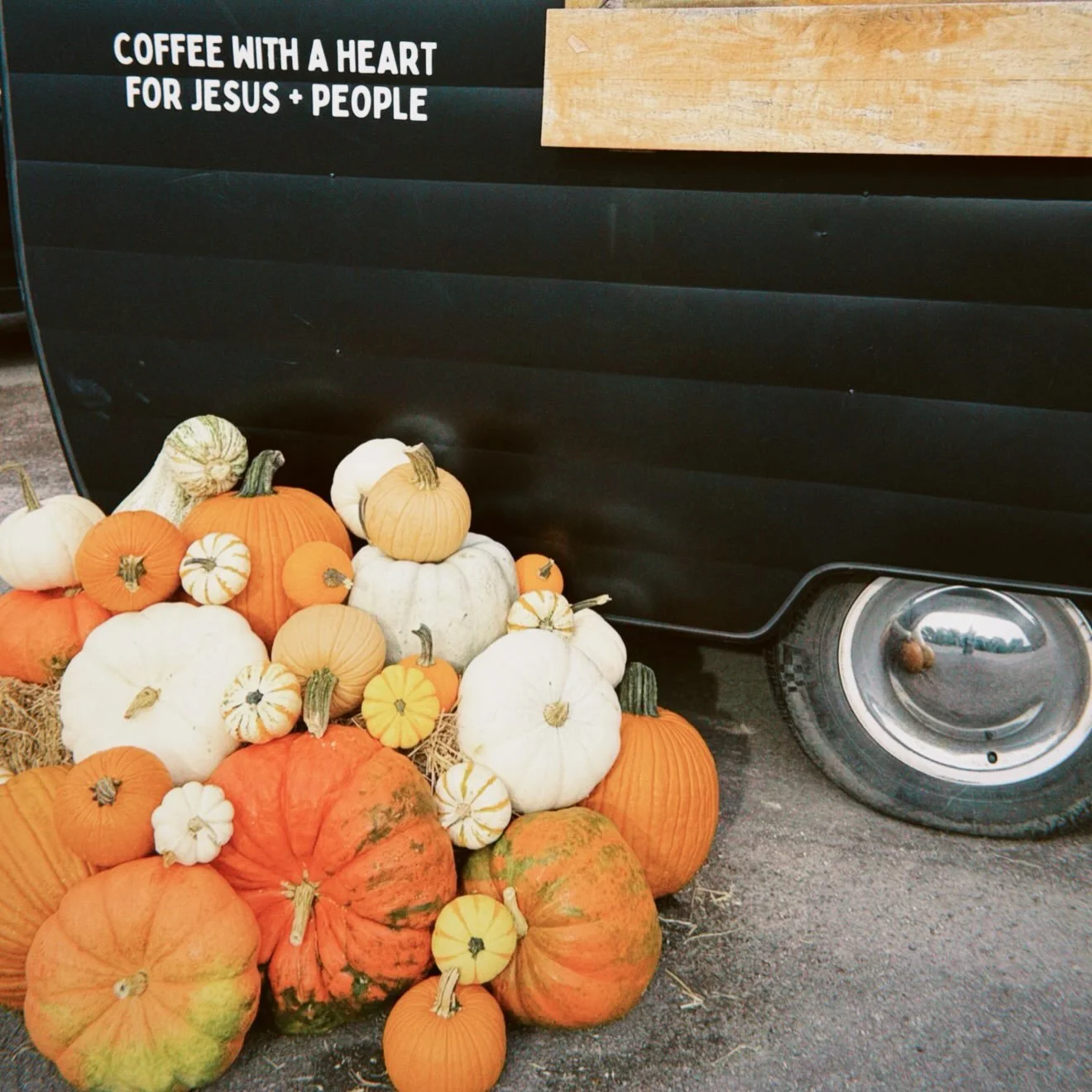 FALL ON FILM ! 🎞️ 

the pumpkin fairy came !!!!!! thank you @thepumpkinentry 😍🎃