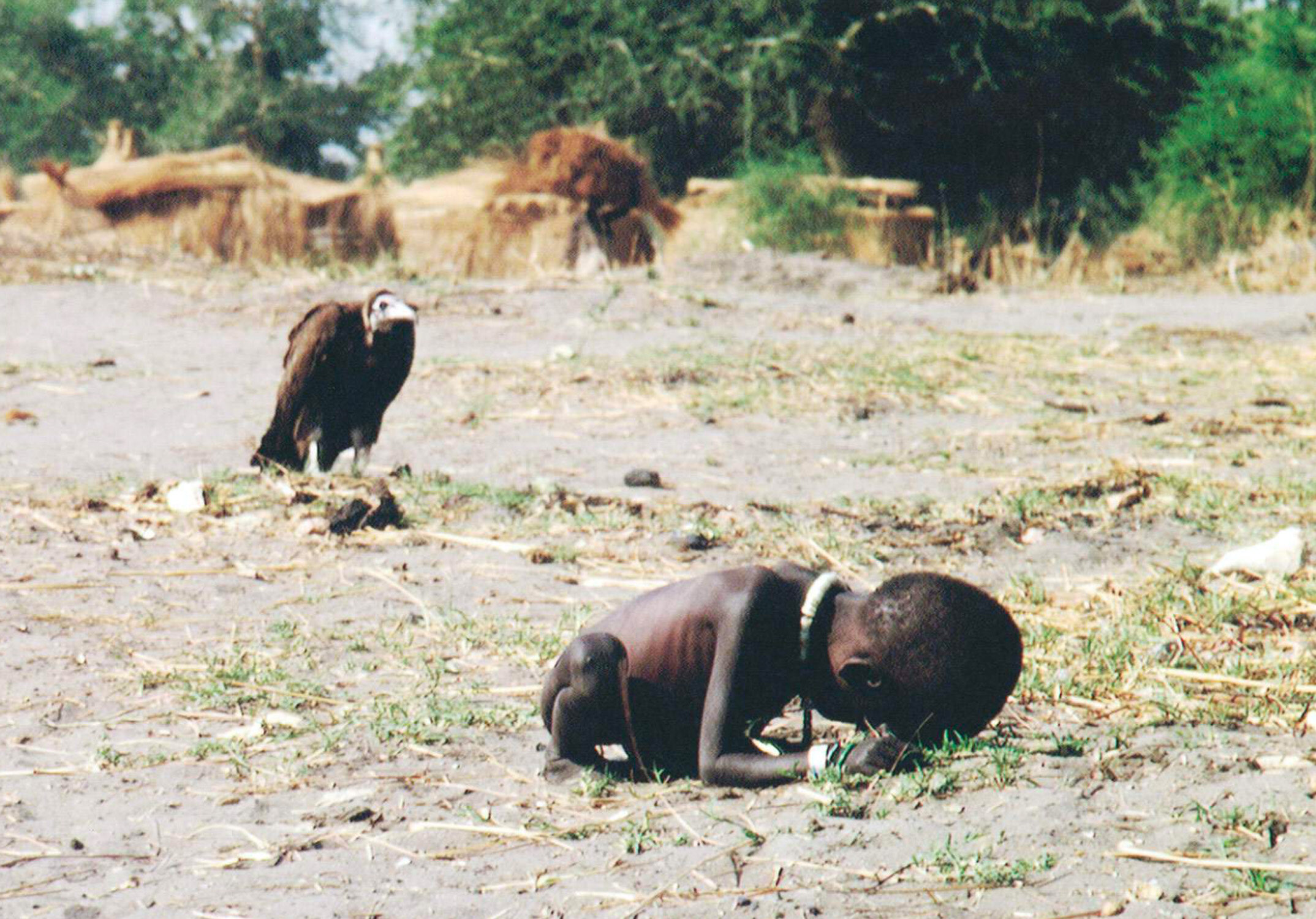 Kevin Carter’s Pulitzer Winning photo, Vulture.