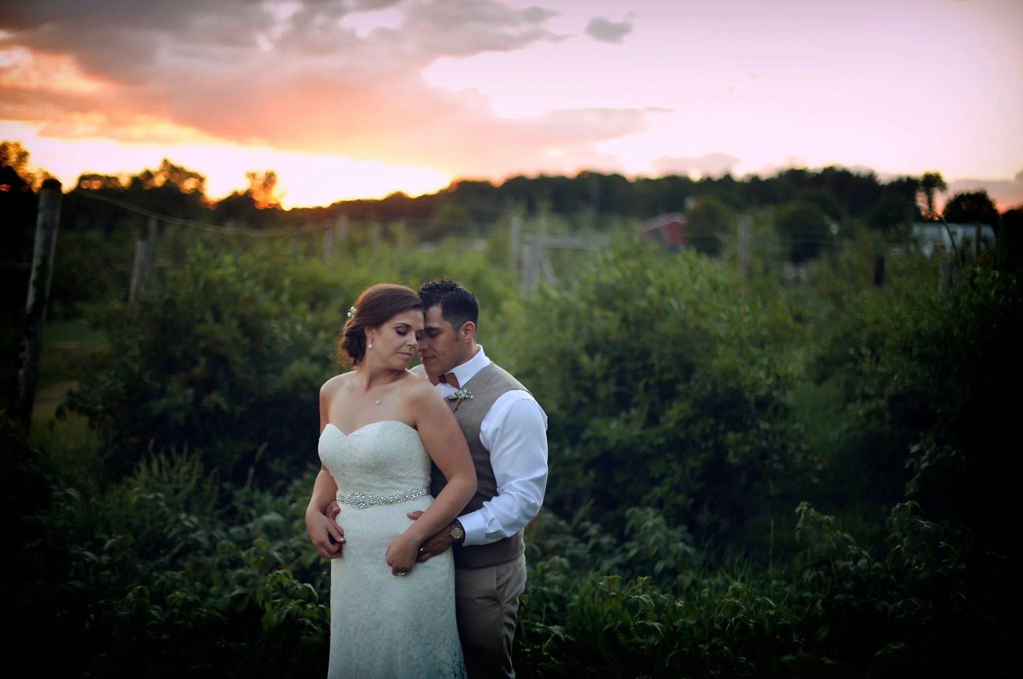 A bride and groom embrace outdoors during sunset, surrounded by greenery.