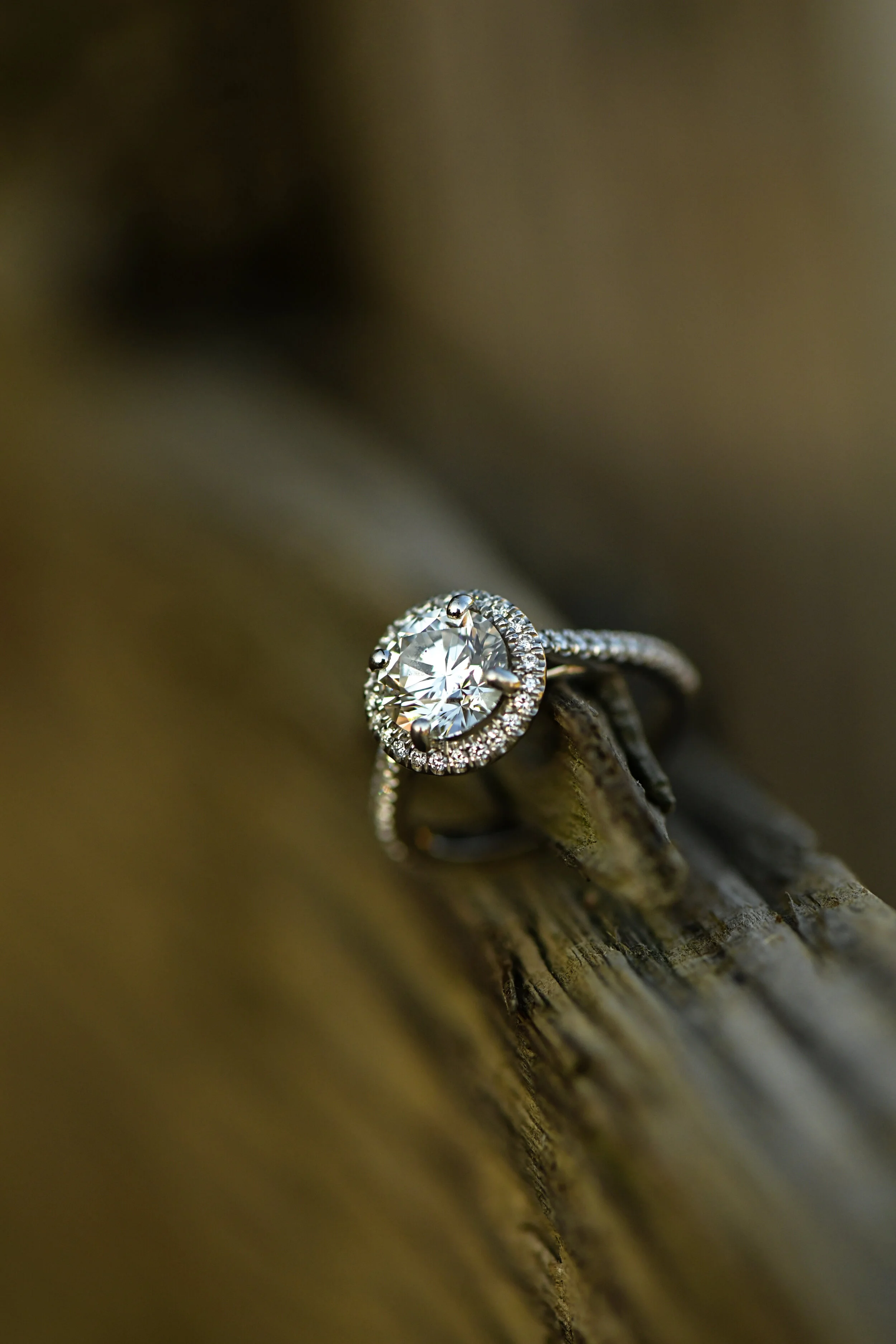 Close-up of a diamond engagement ring with a large round gemstone surrounded by smaller diamonds, resting on a piece of weathered wood.
