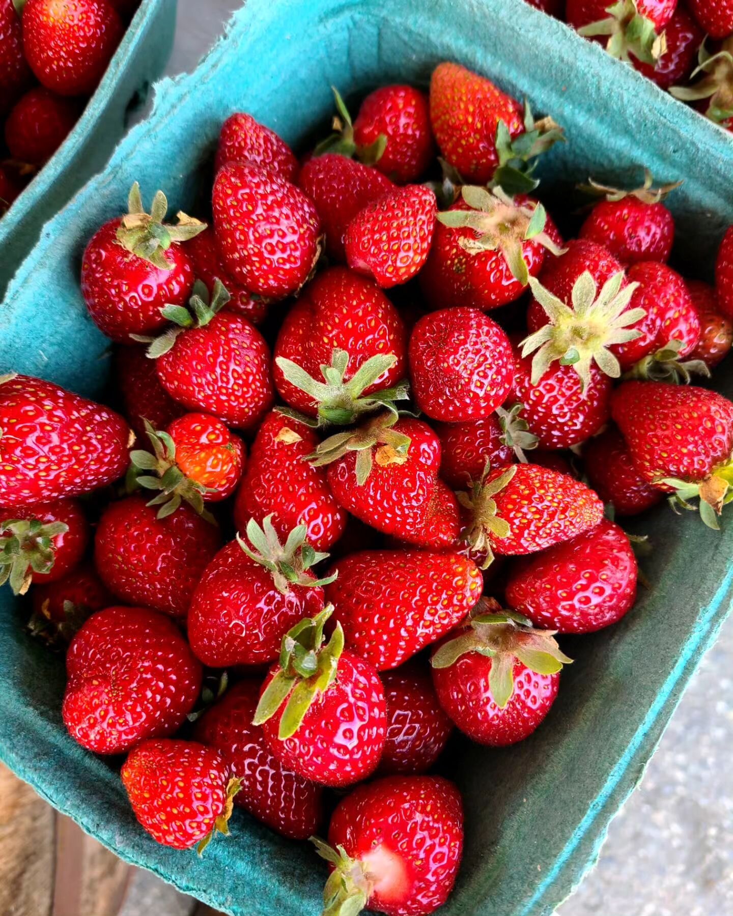 LOCAL strawberries are here. Run don't walk 🍓🏃&zwj;♀️🏃&zwj;♂️🤣