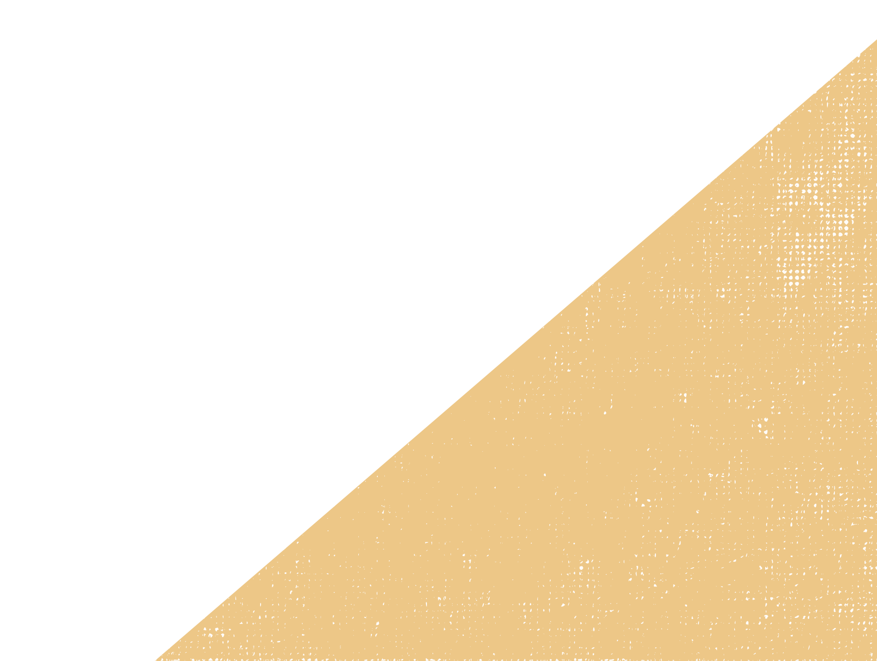Rapid-Trace