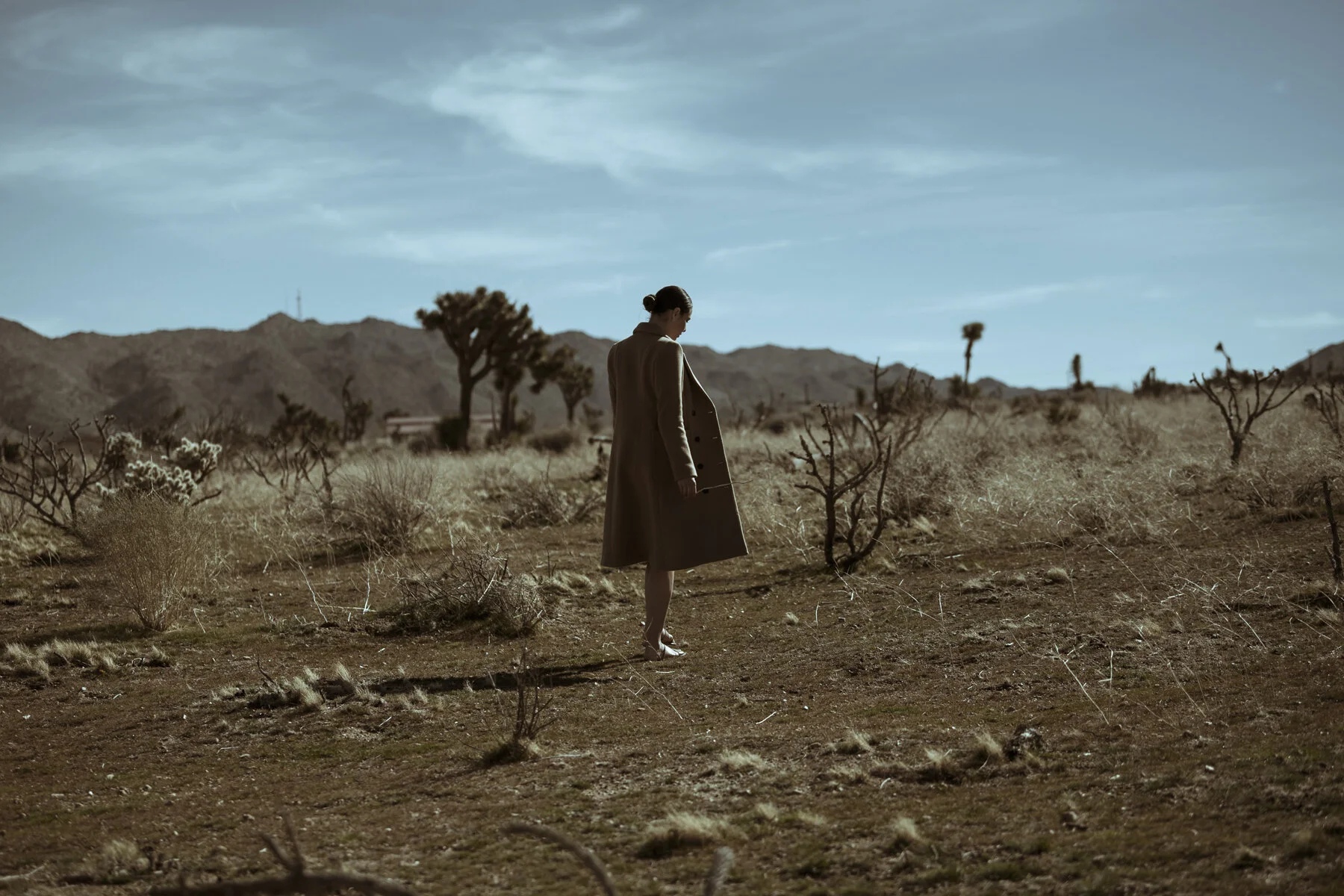 Ana Ayora 20190201-0258 LOW RES Omar Cruz copy.jpg