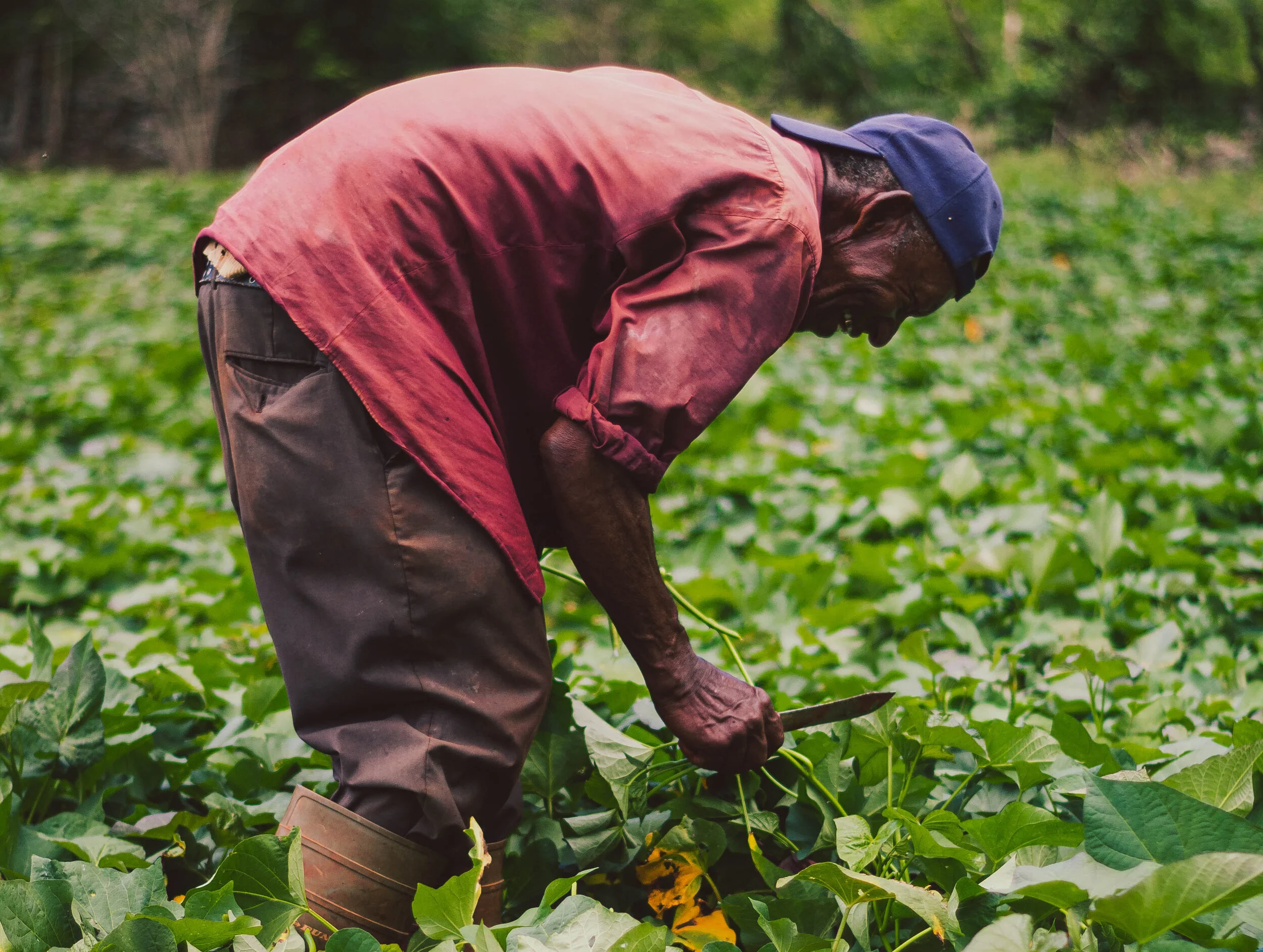 New policies help cut wait times for temporary foreign workers in Canada